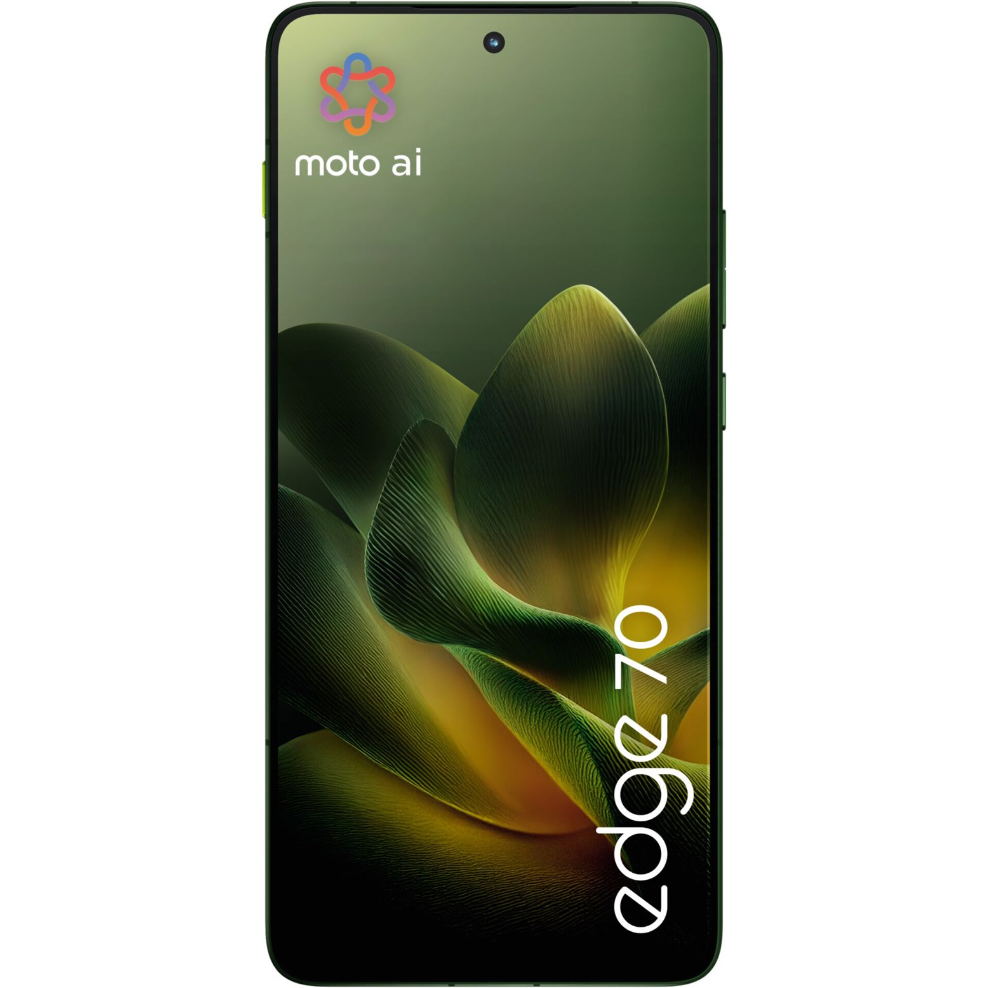 smartphone, display, grün, Kamera, Vorderkamera
