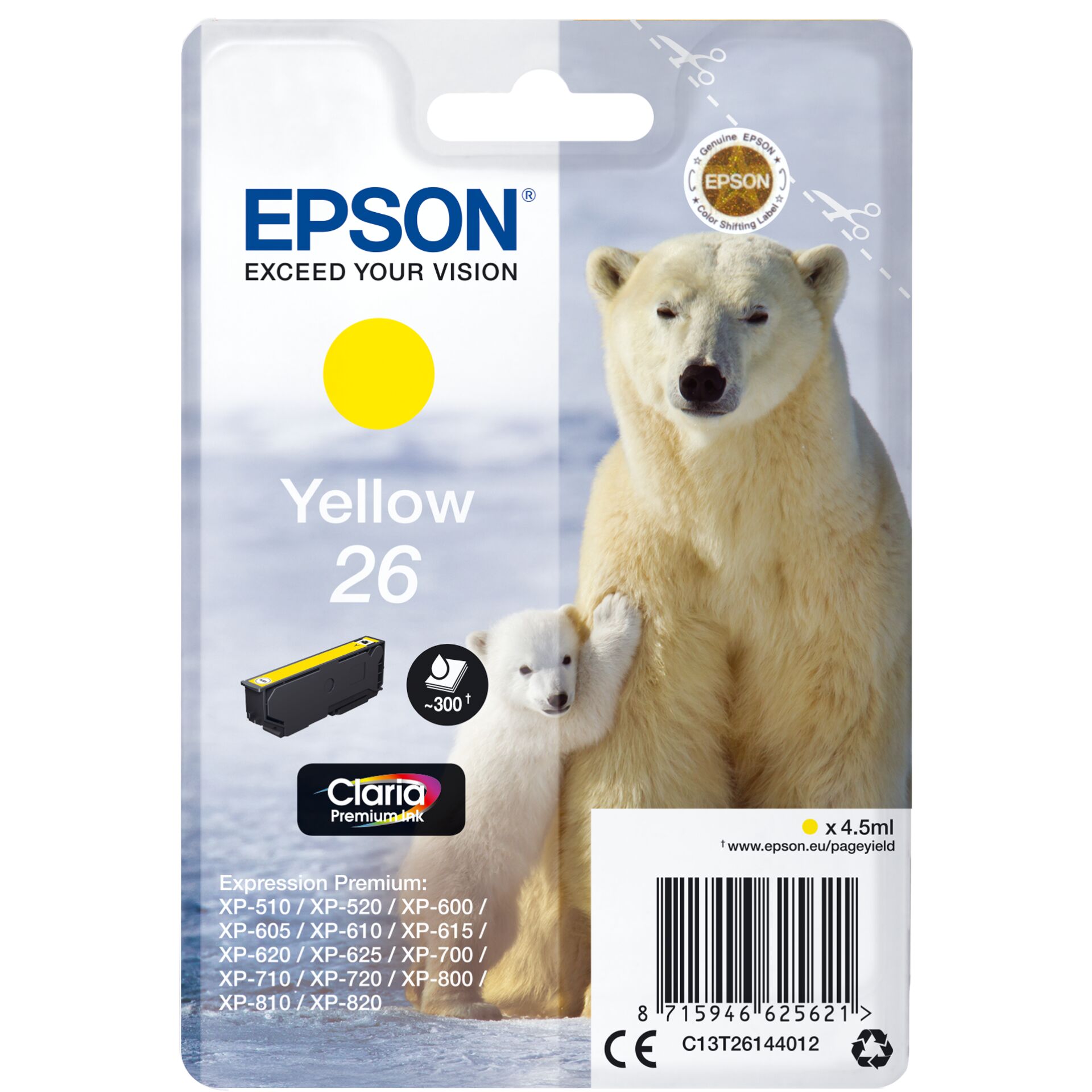 Animal, Bear, Mammal, Wildlife, Polar Bear