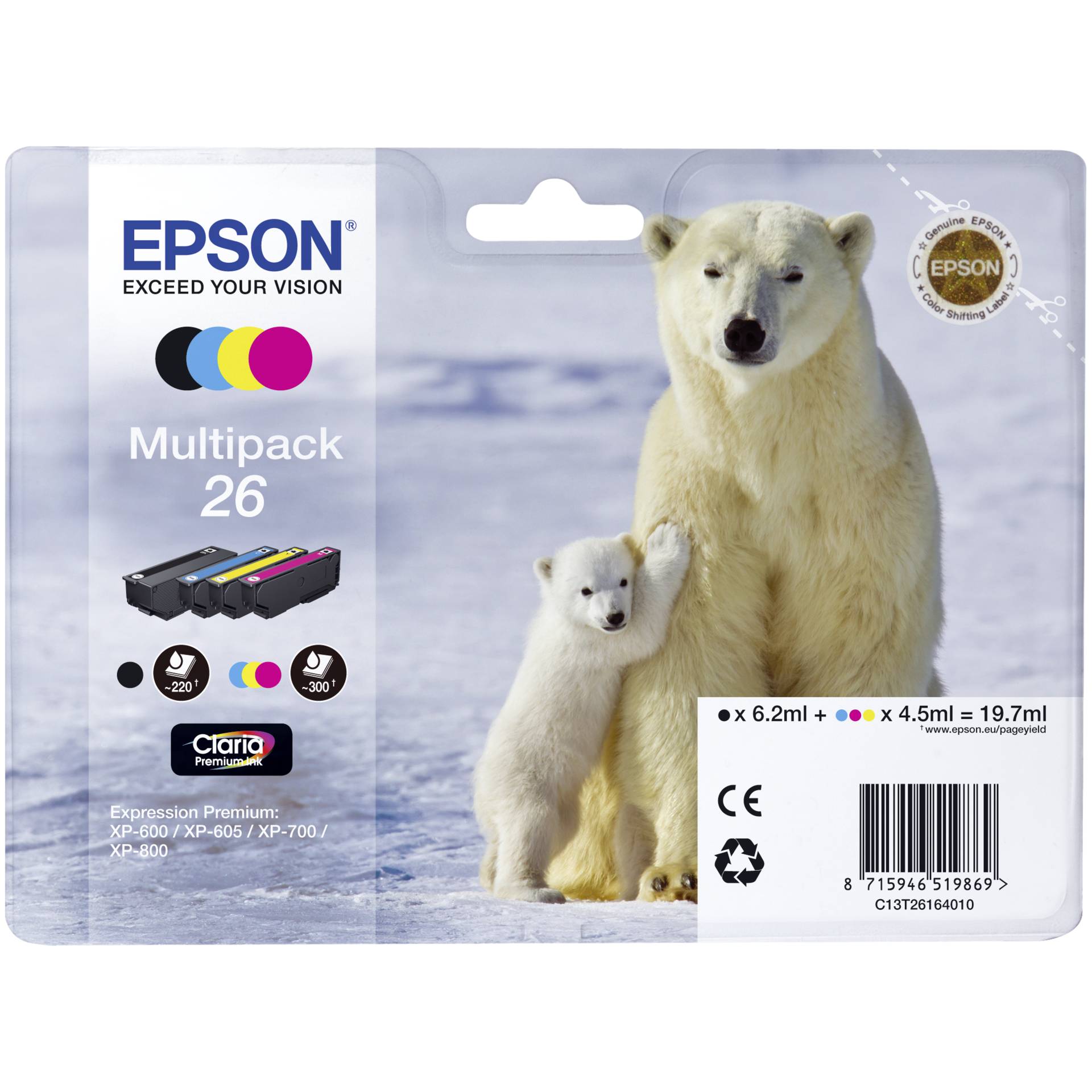 Animal, Bear, Mammal, Wildlife, Polar Bear