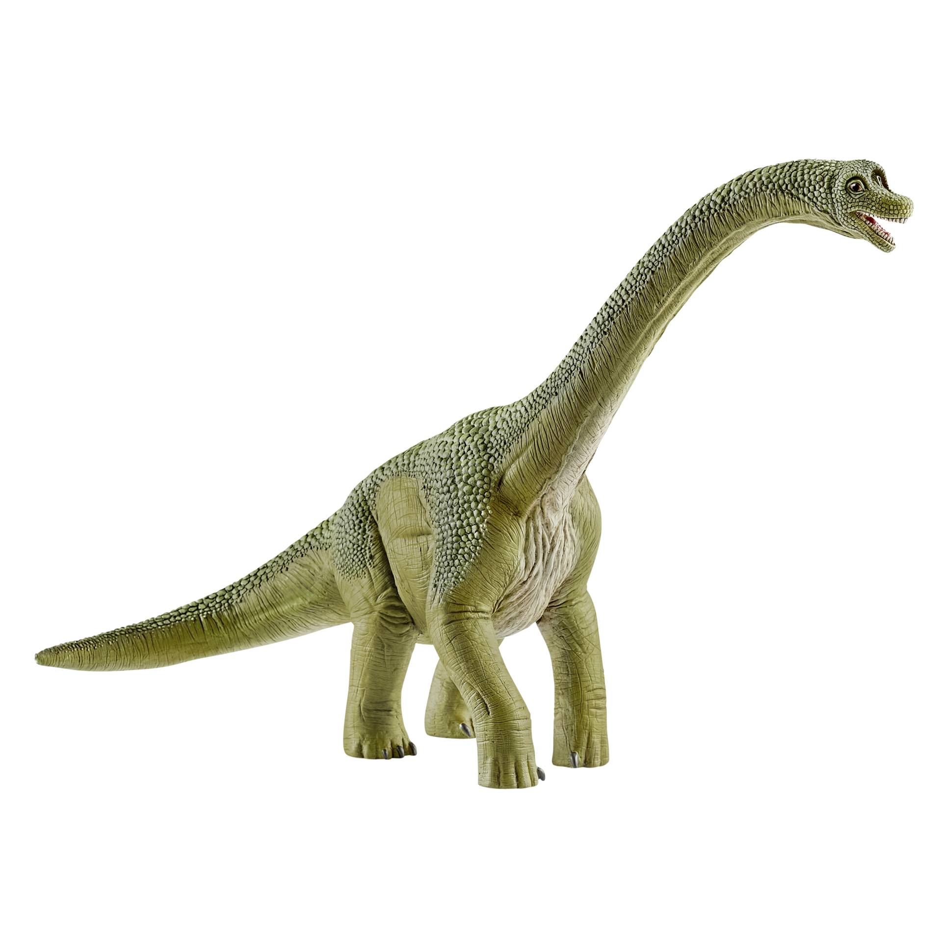 Animal, Dinosaur, Reptile, T-Rex