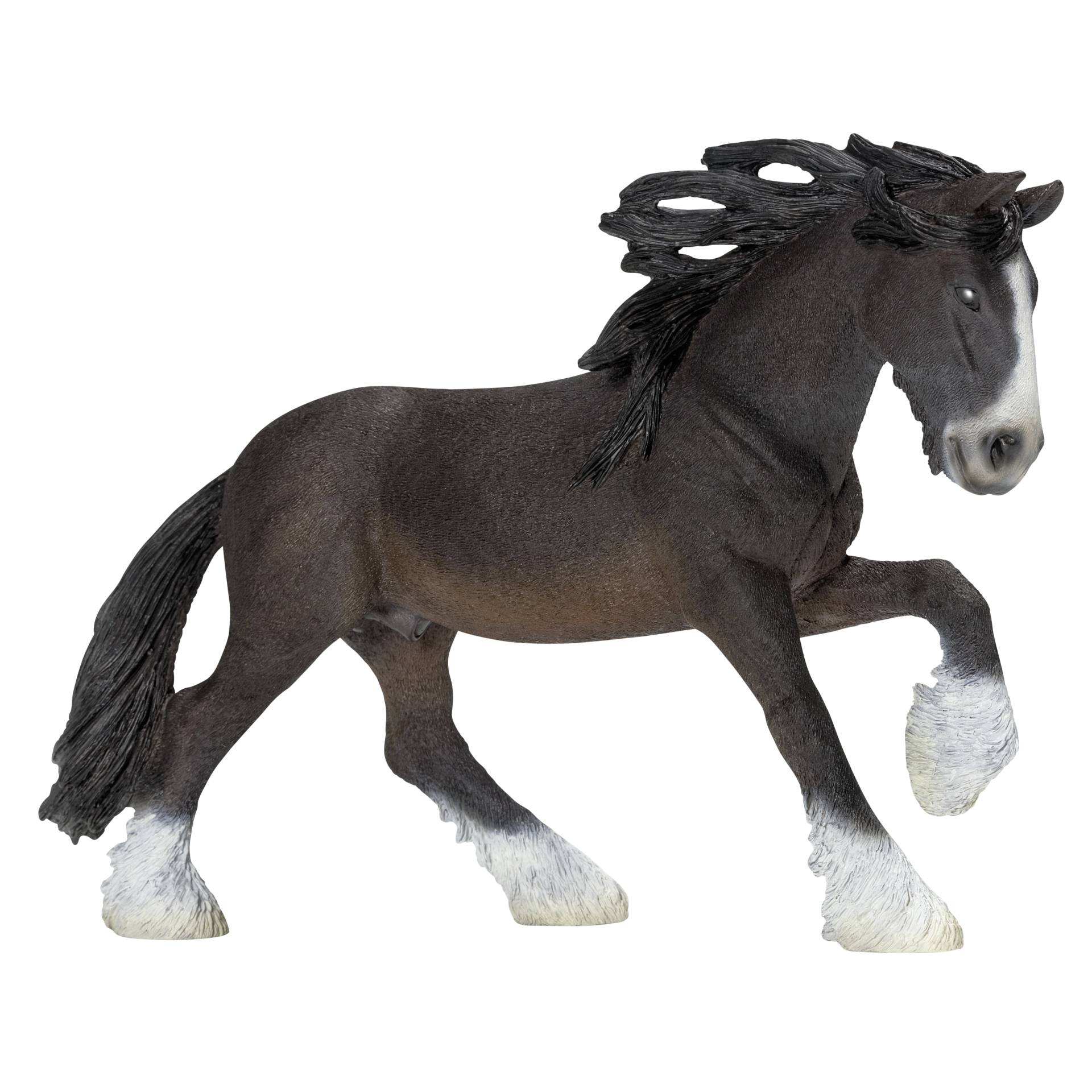 Animal, Horse, Mammal, Andalusian Horse