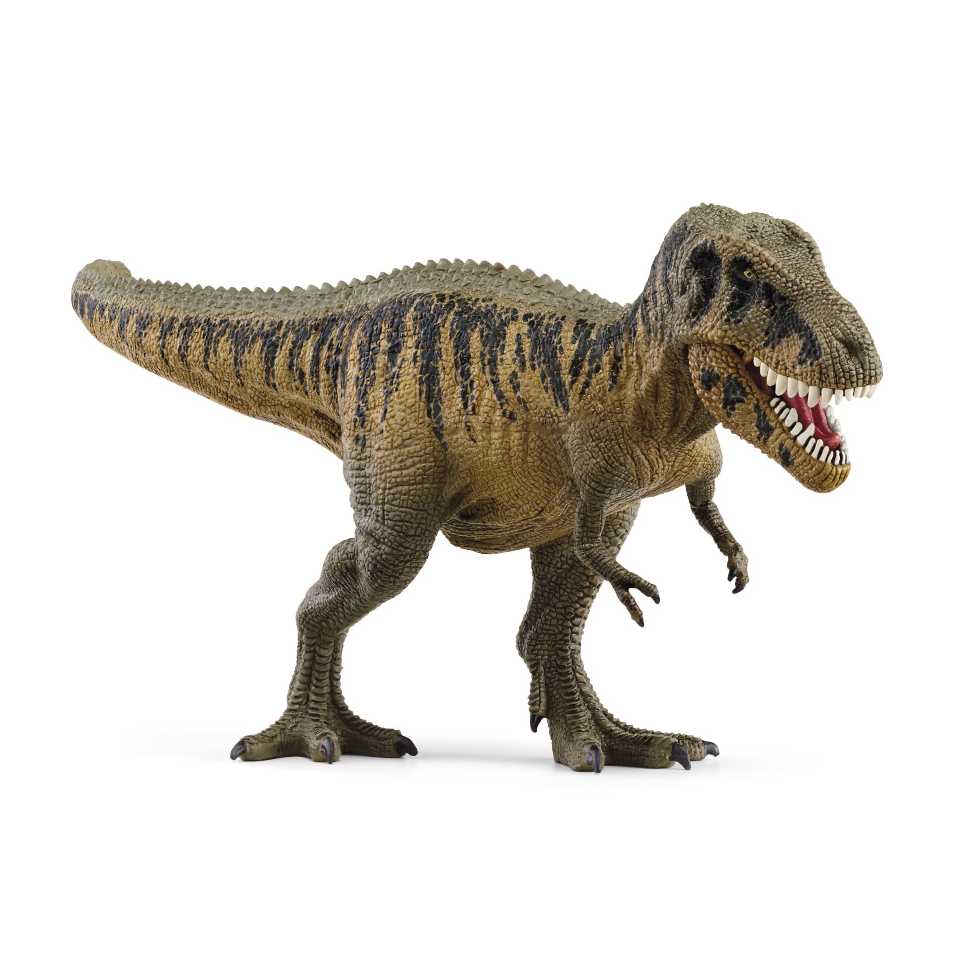 Animal, Dinosaur, Reptile, T-Rex