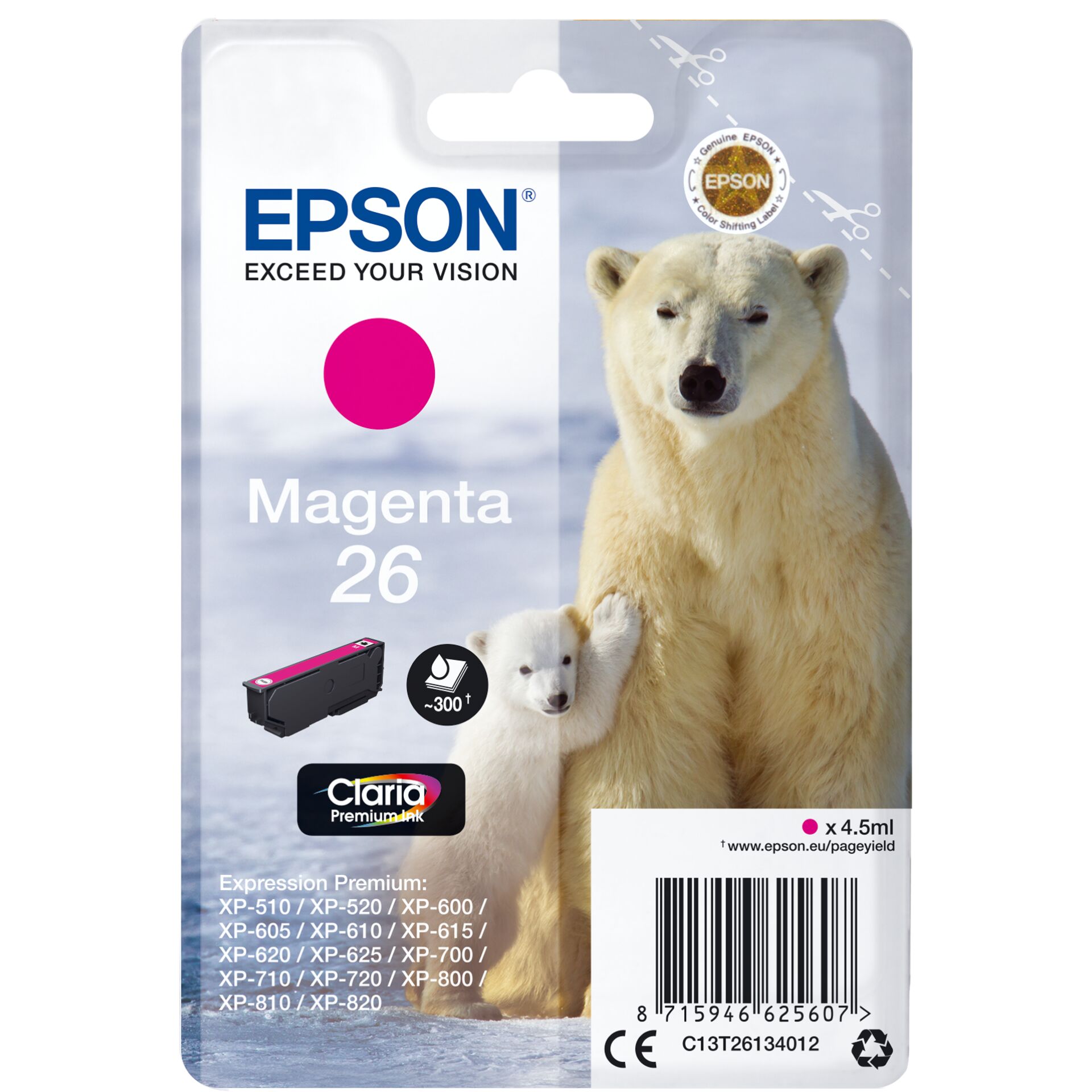 Animal, Bear, Mammal, Wildlife, Polar Bear