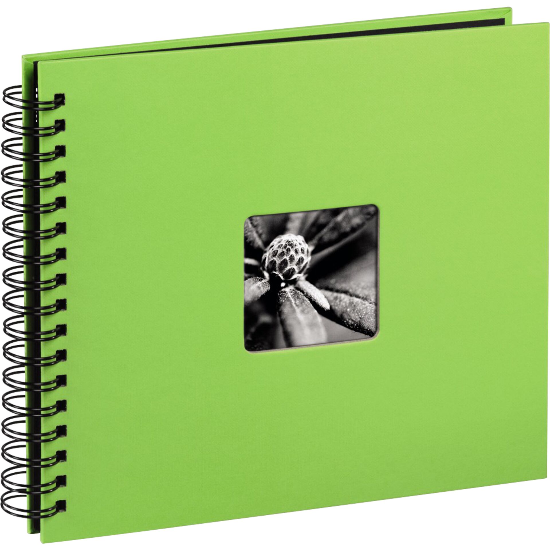 Diary, Page, Text