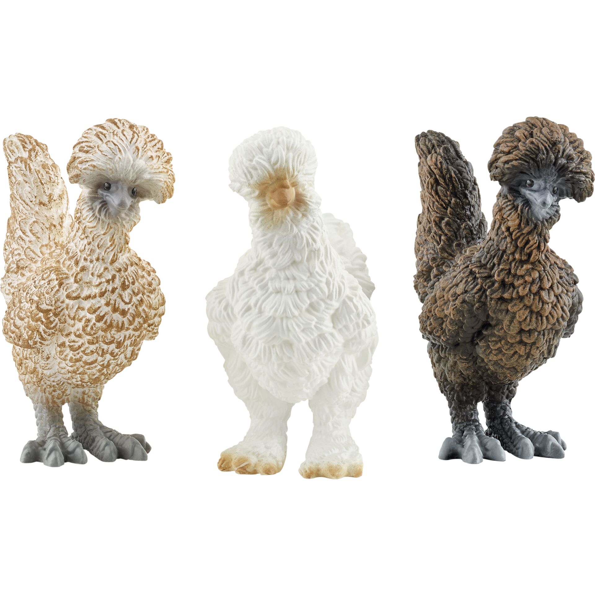 Animal, Bird