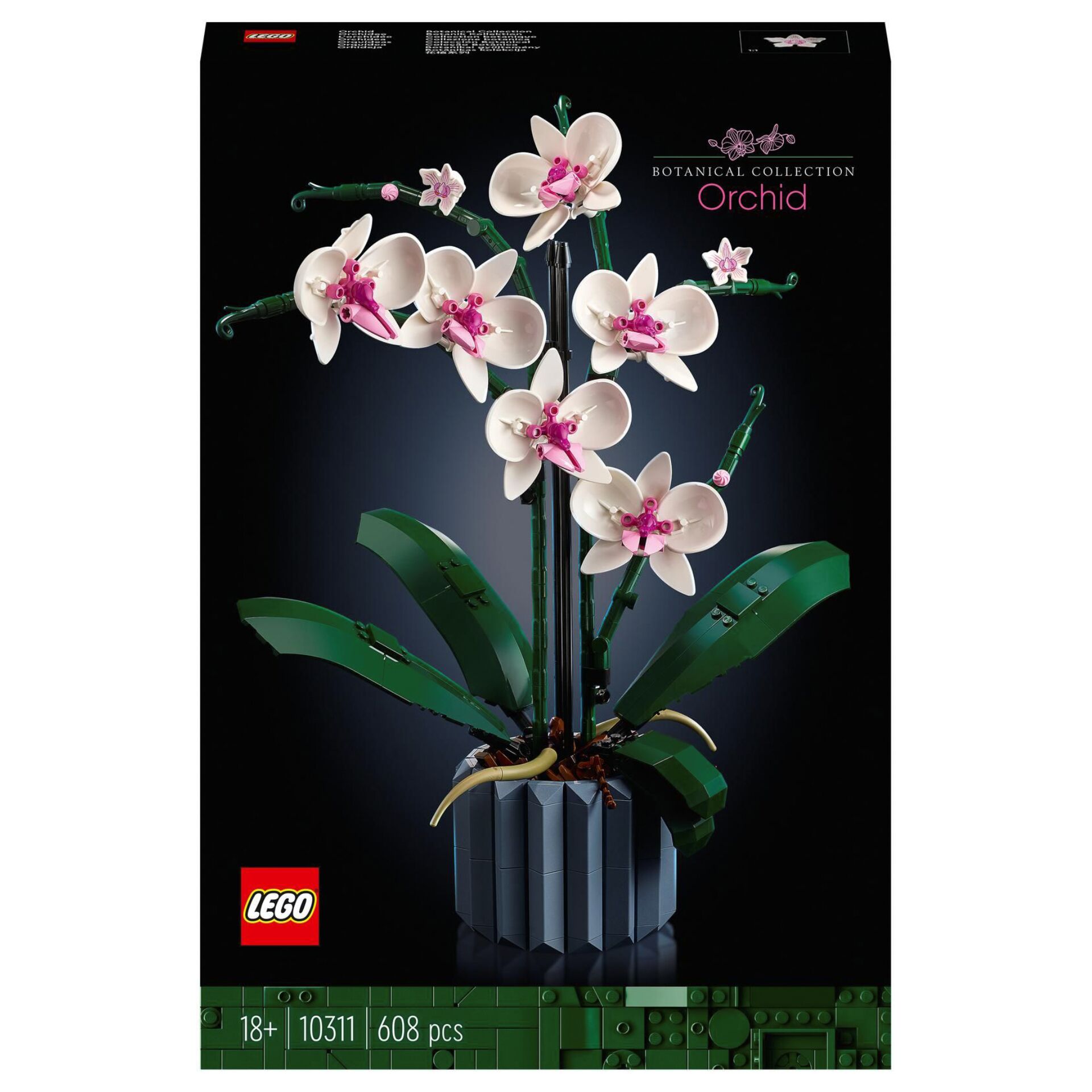 Flower, Plant, Flower Arrangement, Orchid