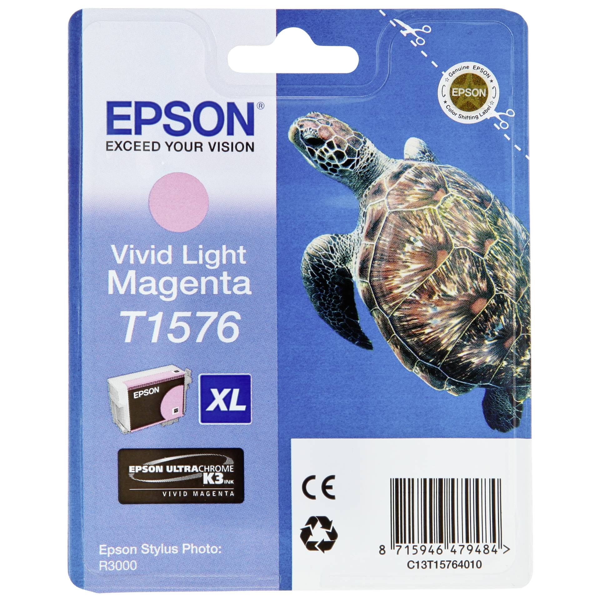 Animal, Reptile, Sea Life, Turtle