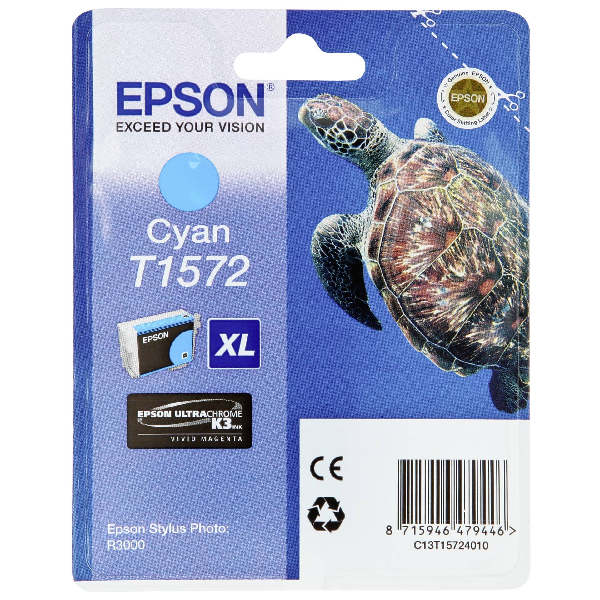 Animal, Reptile, Sea Life, Turtle