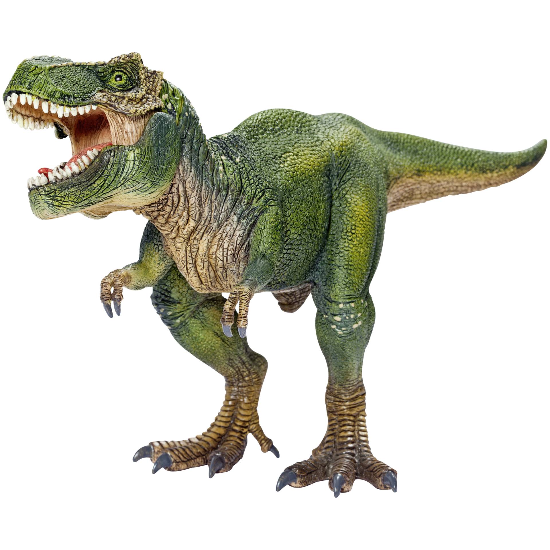 Animal, Dinosaur, Reptile, T-Rex
