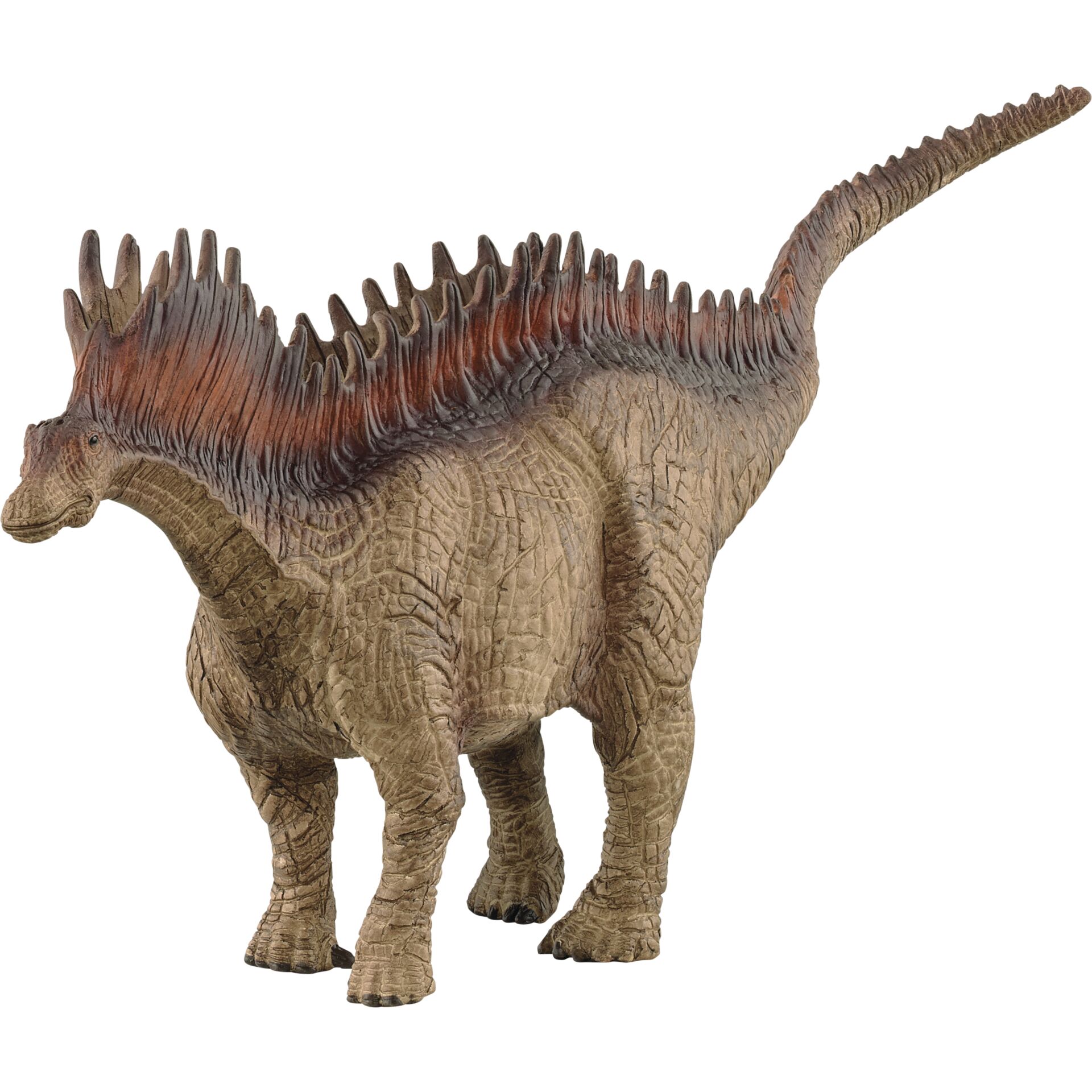 Animal, Dinosaur, Reptile, T-Rex