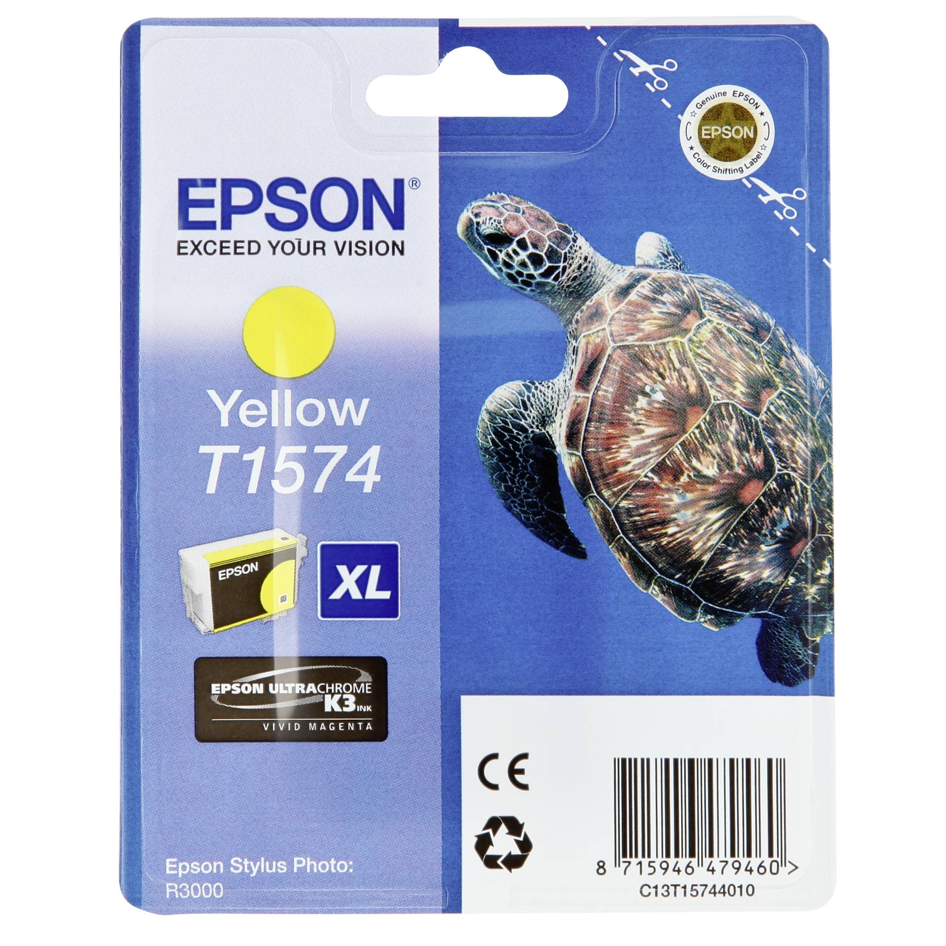 Animal, Reptile, Sea Life, Turtle