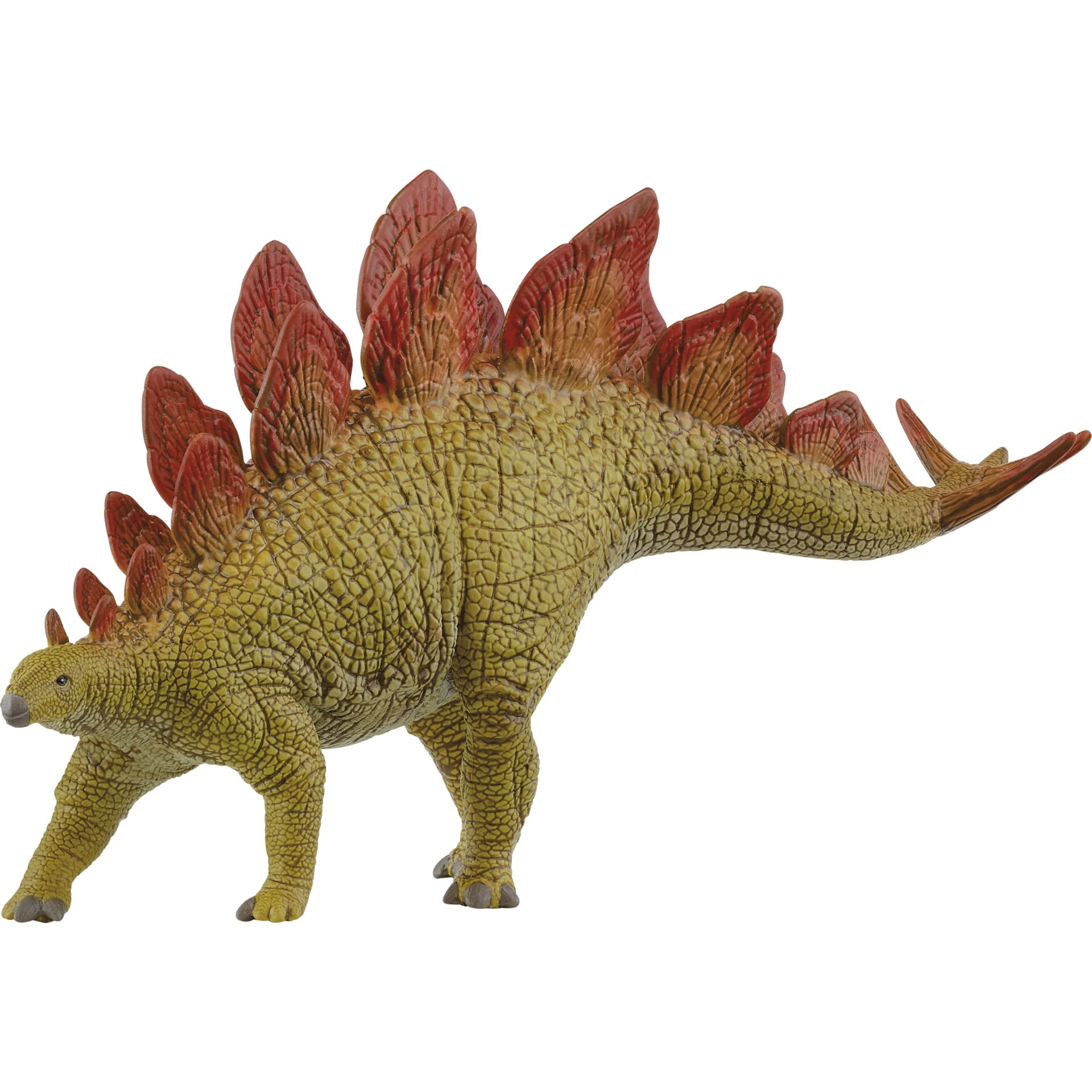 Animal, Dinosaur, Reptile