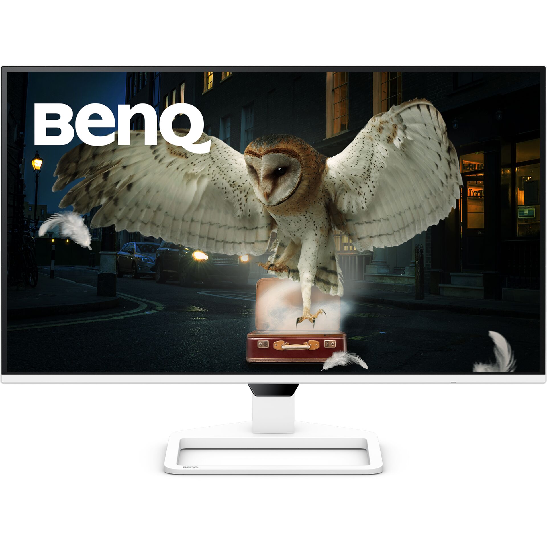 Monitor,  24 Zoll,  4K,  Display,  Eule Bild