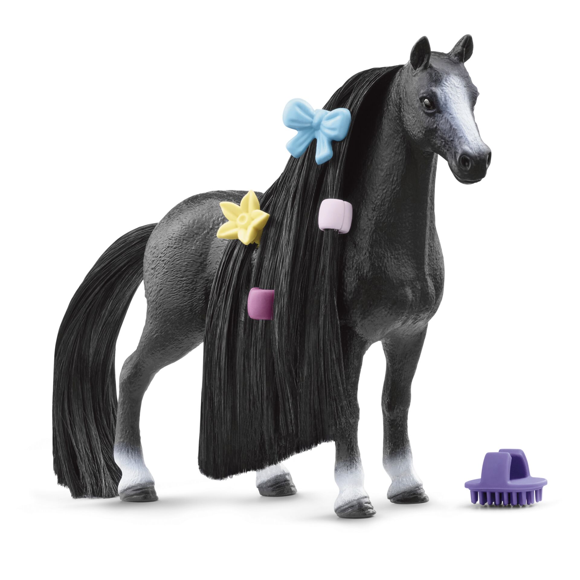 Andalusian Horse, Animal, Horse, Mammal