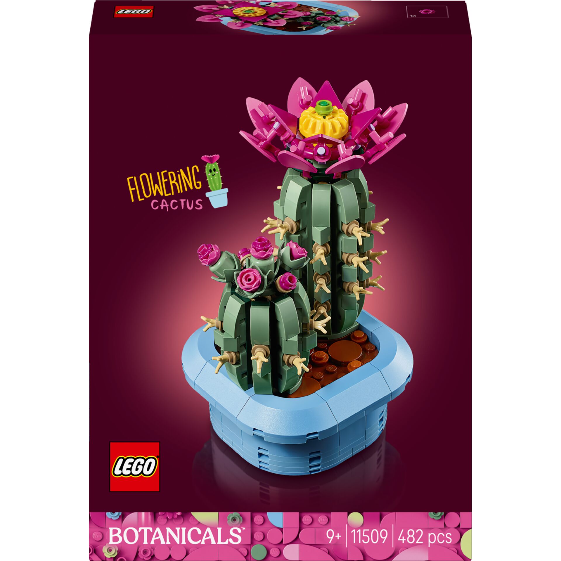 Kaktus, Blumen, Legomodell, Botanicals, Blaues Fundament