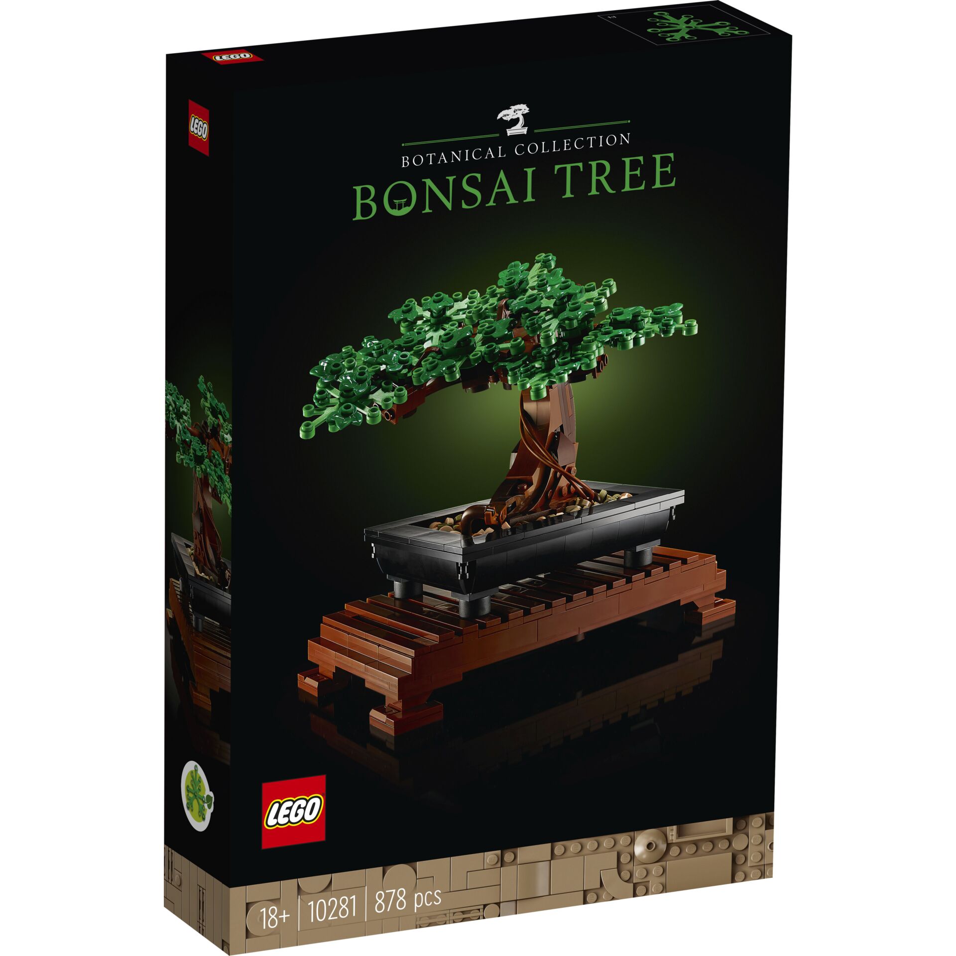 Plant, Potted Plant, Tree, Bonsai