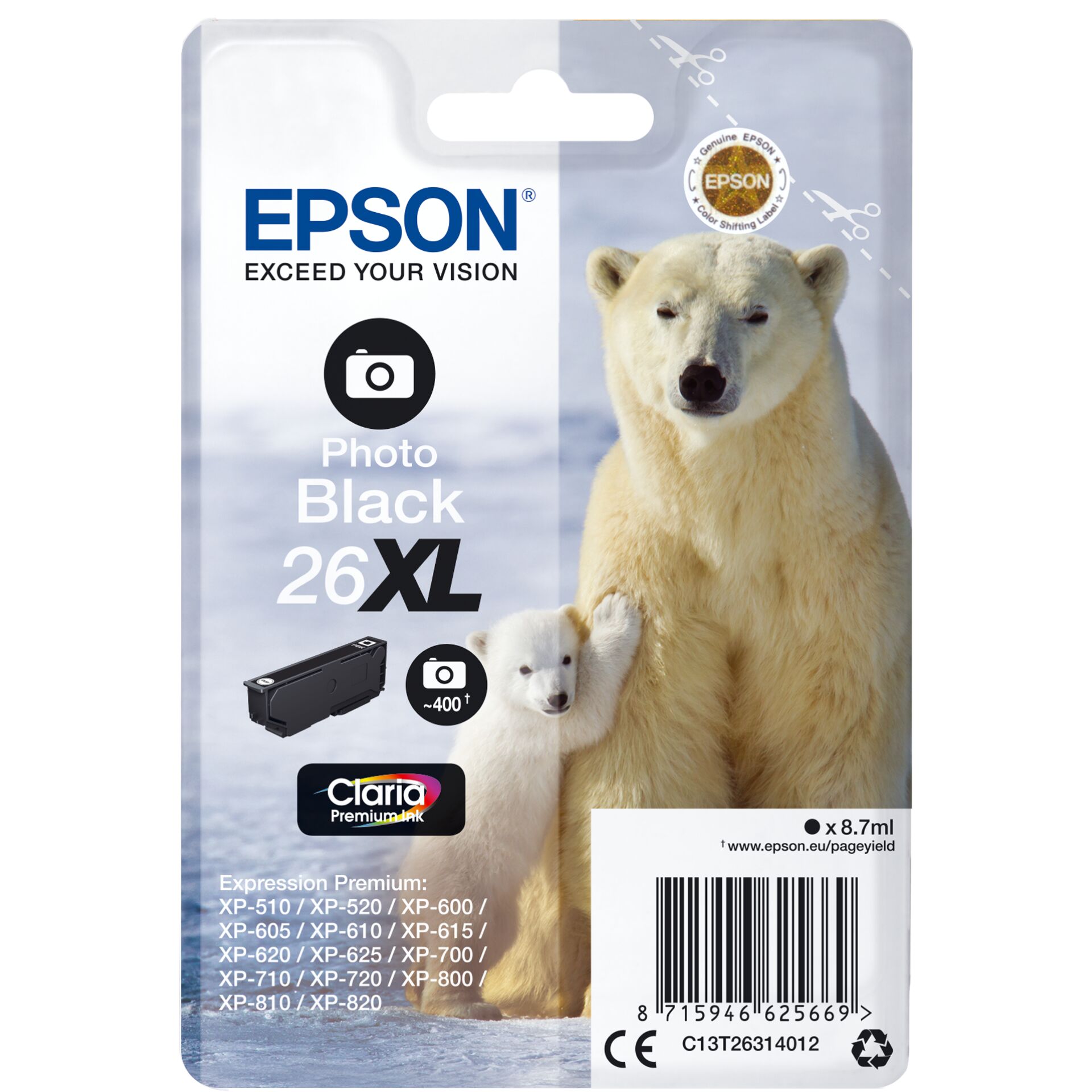 Animal, Bear, Mammal, Wildlife, Polar Bear