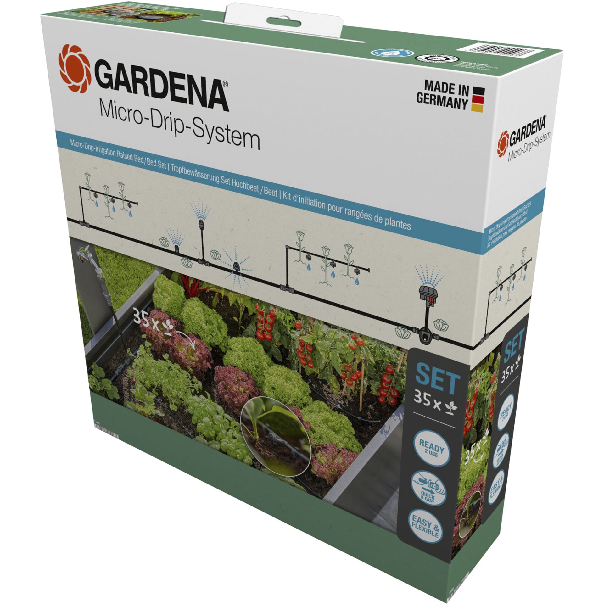 Grünkohl, Pflanze, Produzieren, Gemüse, Kiste