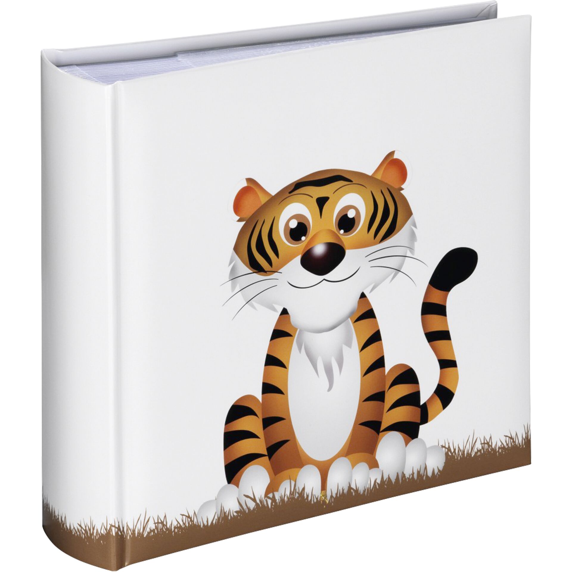 Publication, Book