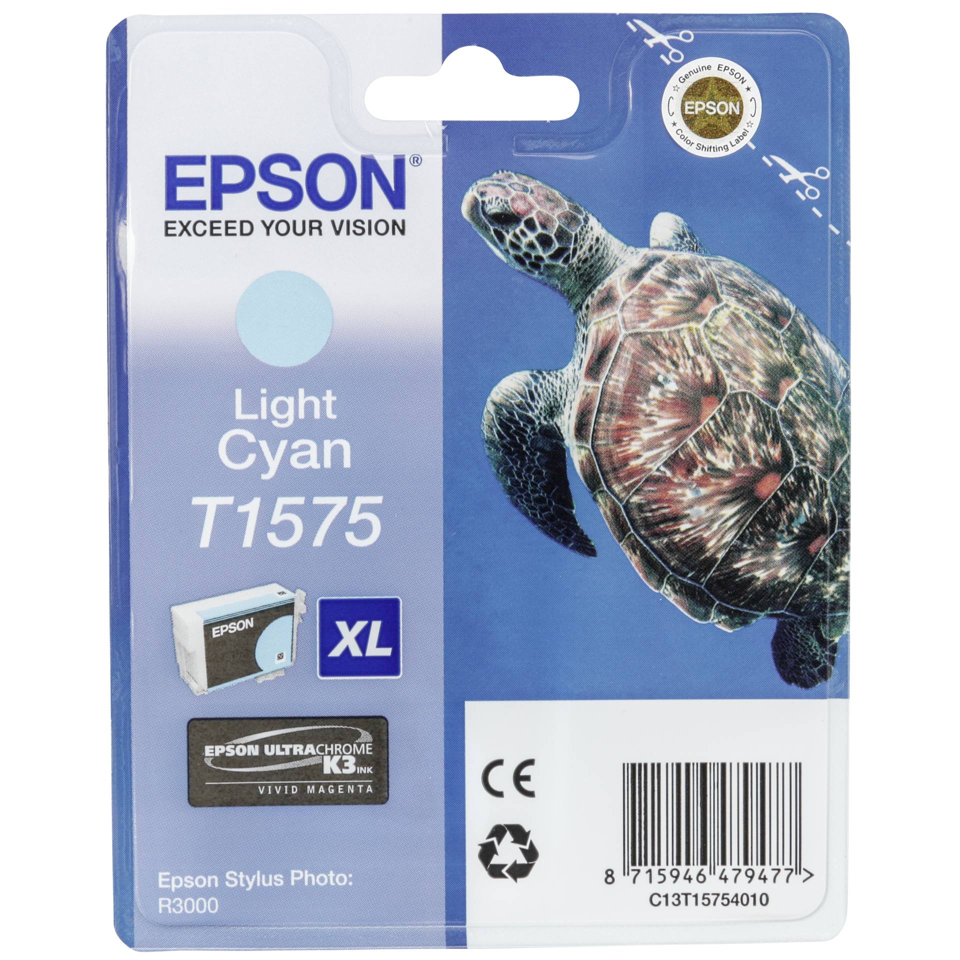 Animal, Reptile, Sea Life, Turtle