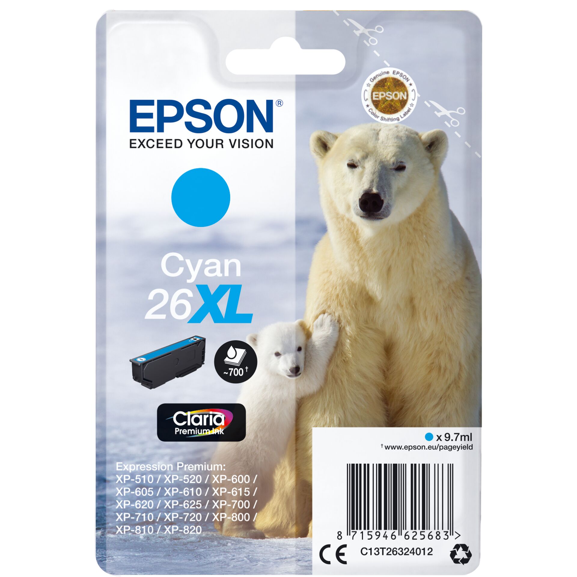 Animal, Bear, Mammal, Wildlife, Polar Bear