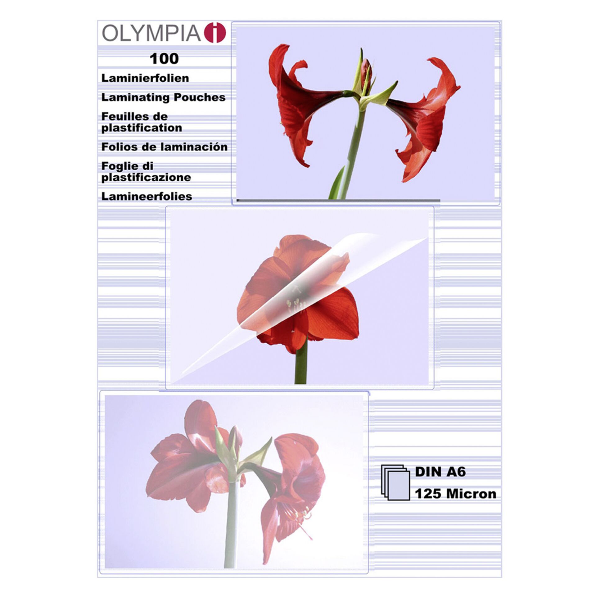 Blume, Pflanze, Eine andere, Blütenblatt