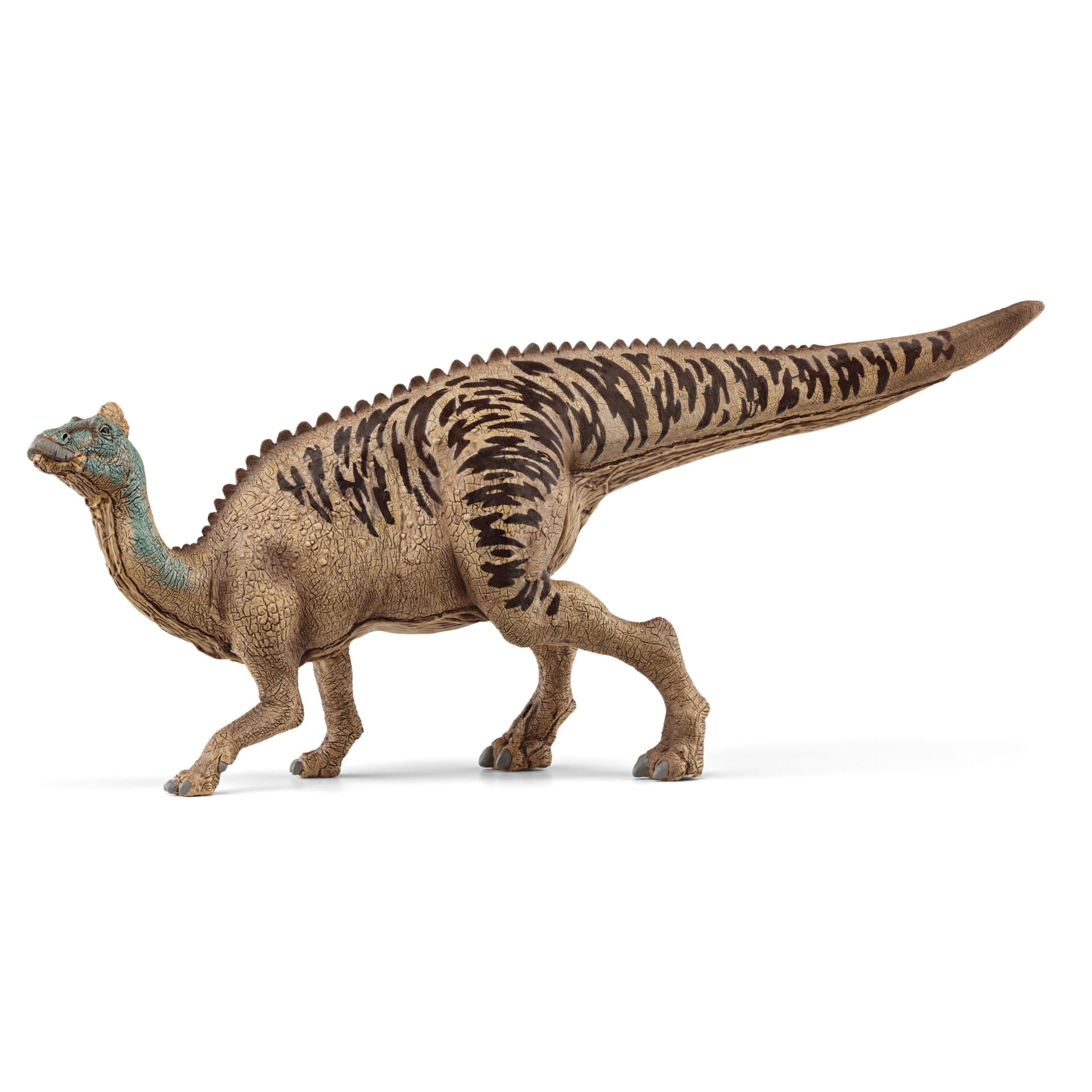 Animal, Dinosaur, Reptile, T-Rex