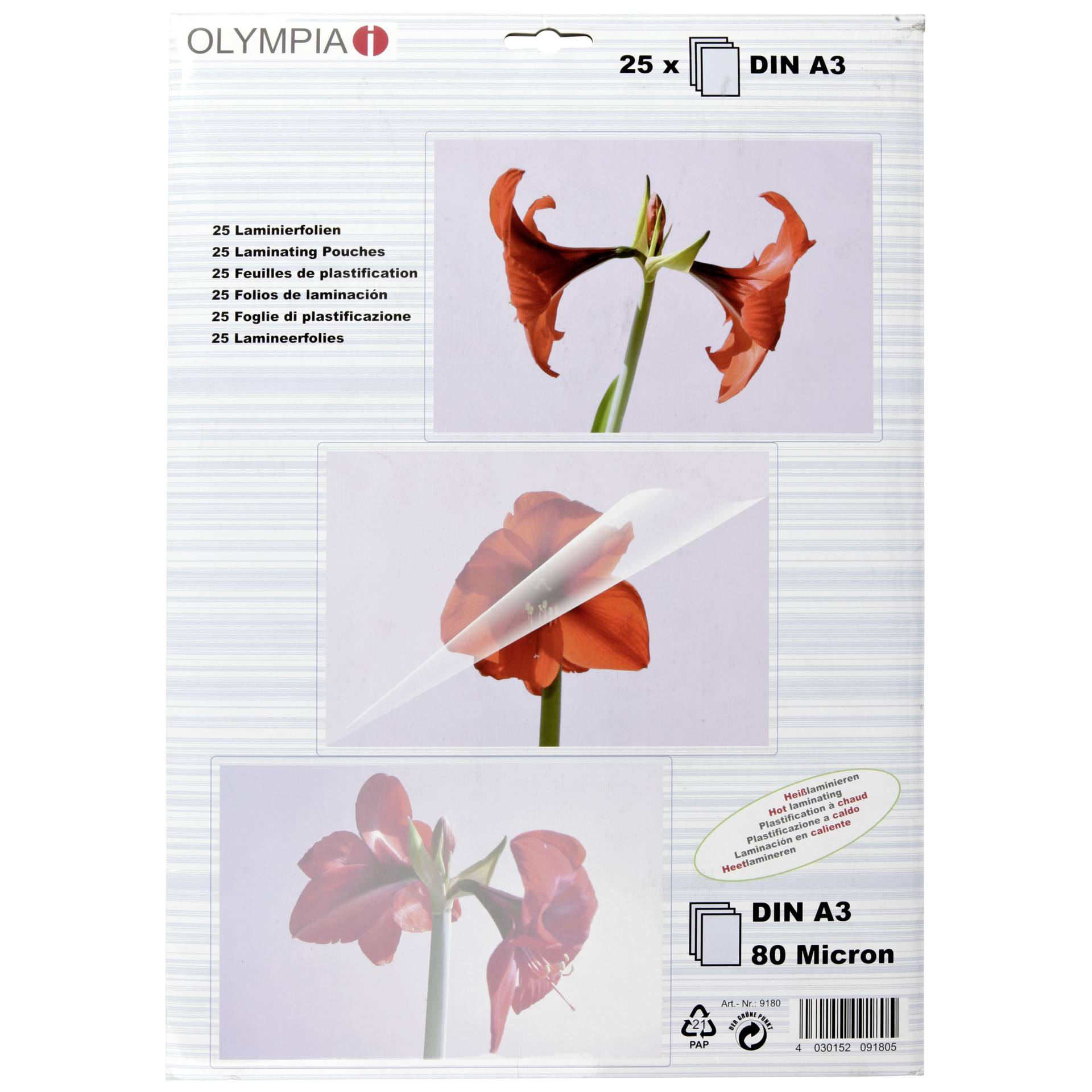 Blume, Pflanze, Blütenblatt, Ein anderes, Amaryllis