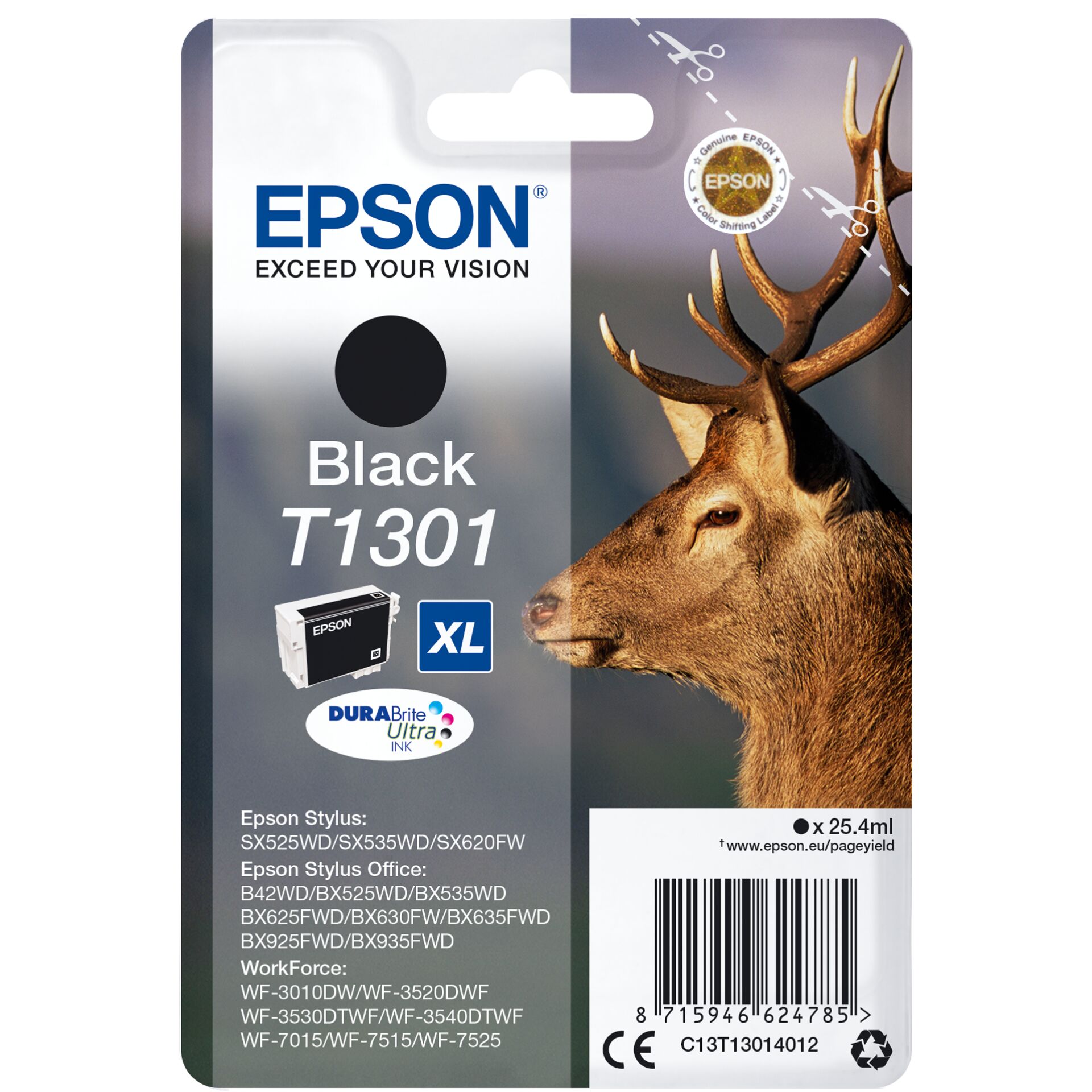 Animal, Deer, Mammal, Wildlife, Antelope
