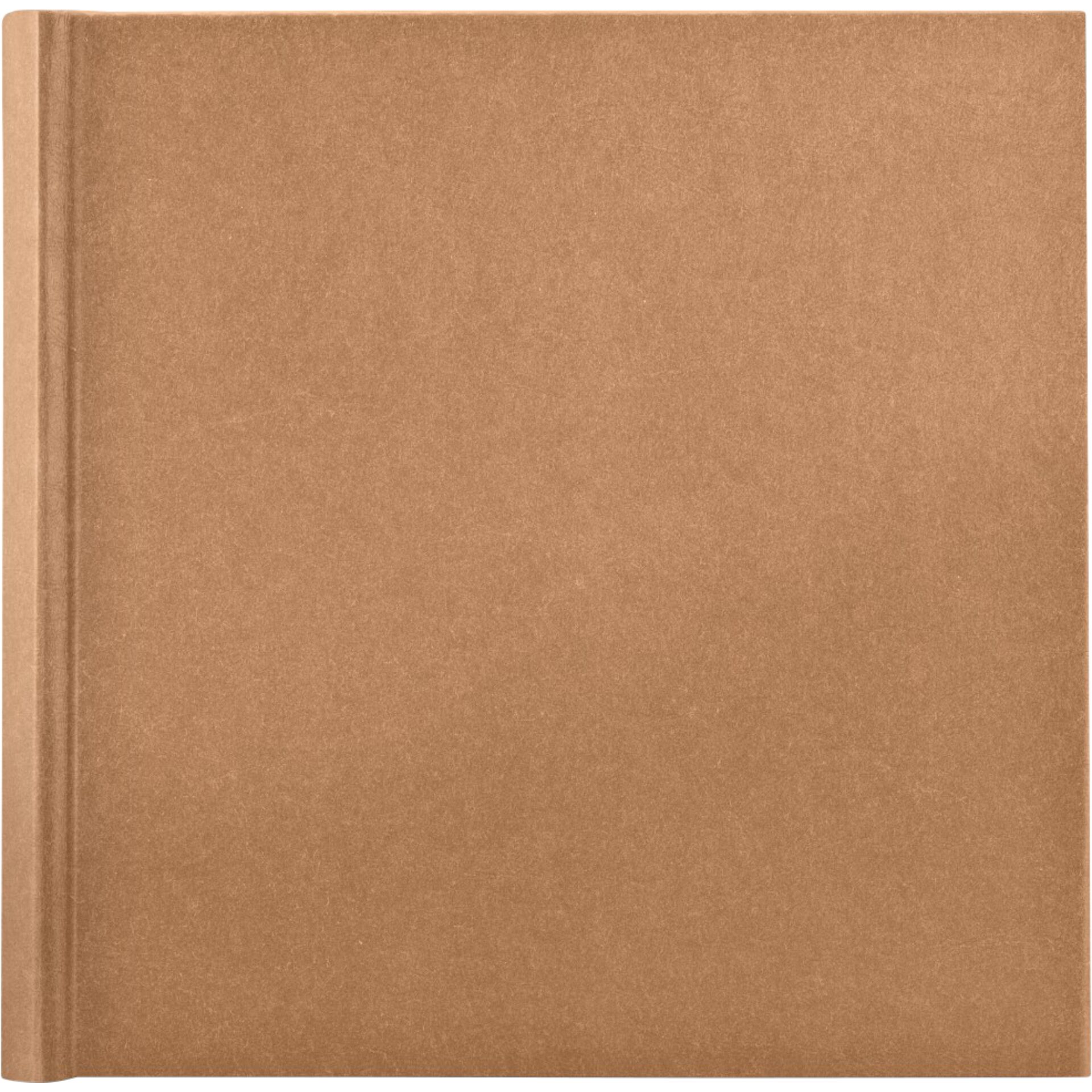 Cardboard