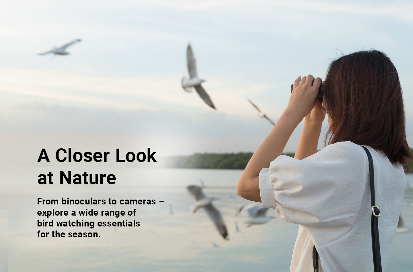 Fernglas, Vögelbeobachtung, Natur, Kamera, Birdwatching