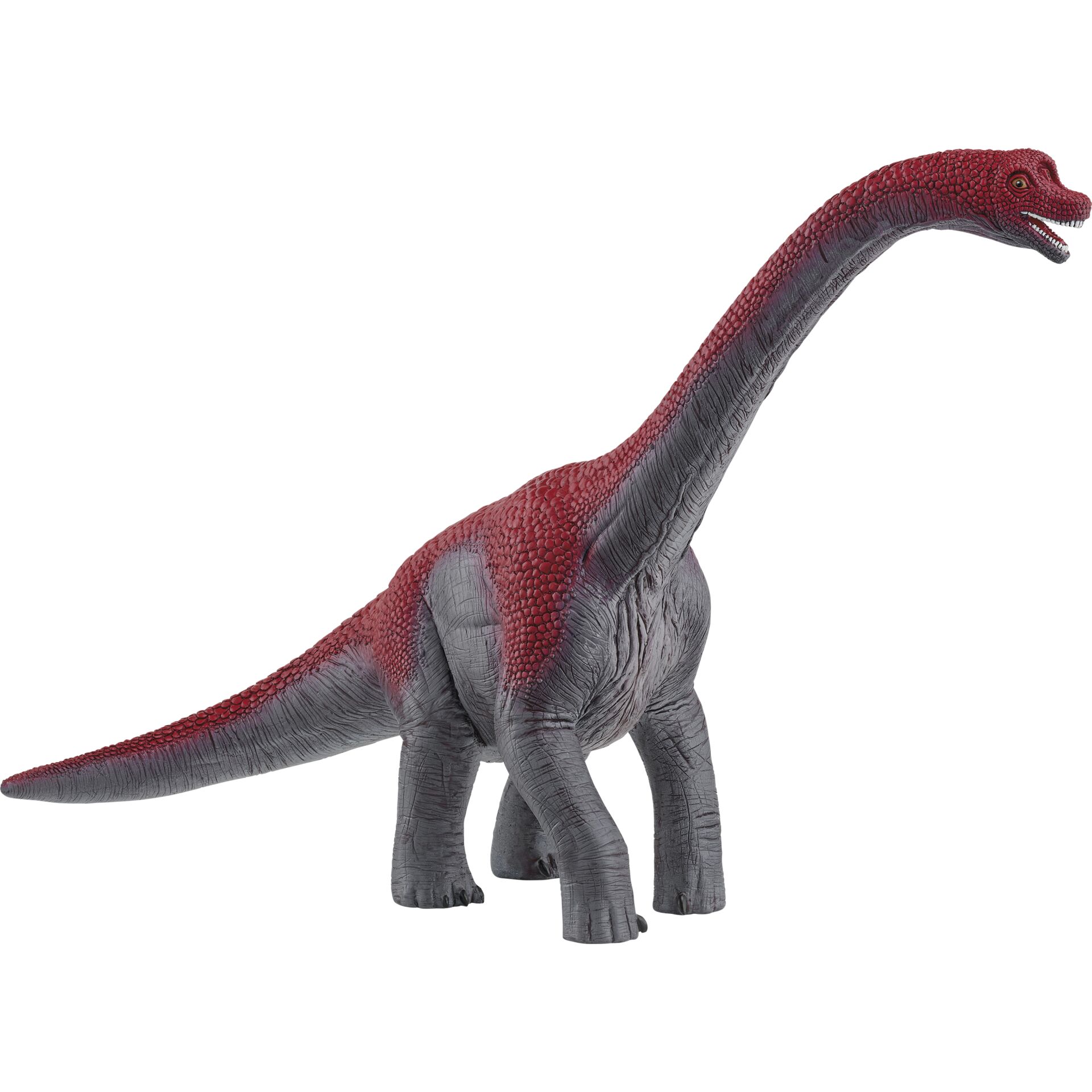 Animal, Dinosaur, Reptile, T-Rex