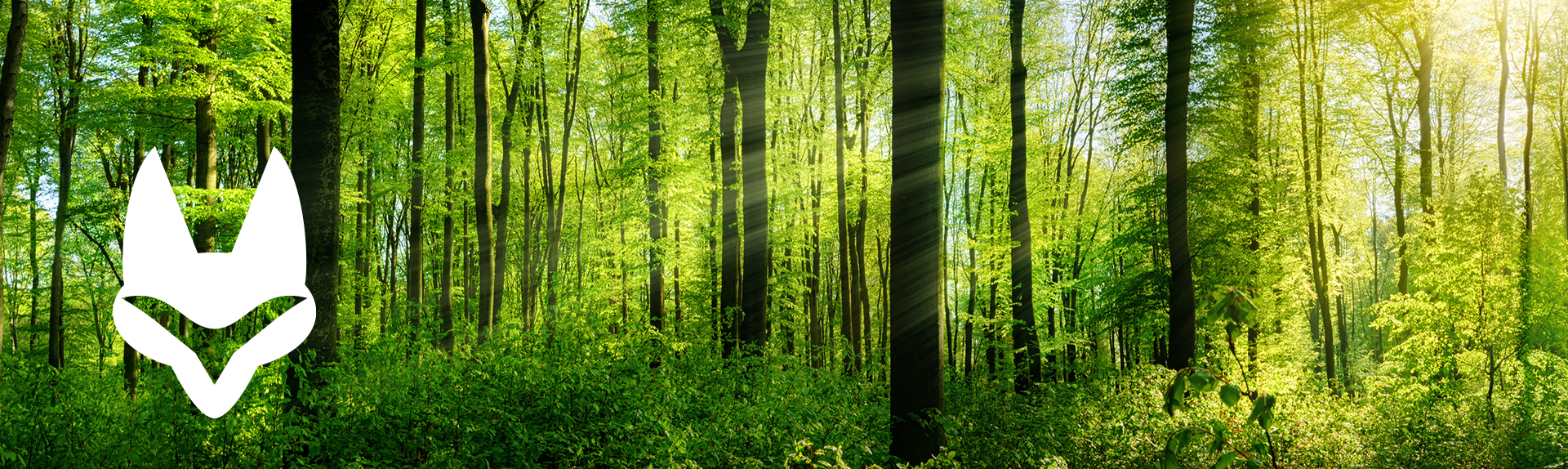 Logo, Fuchs, Wald, Sonnenlicht, Silhouette