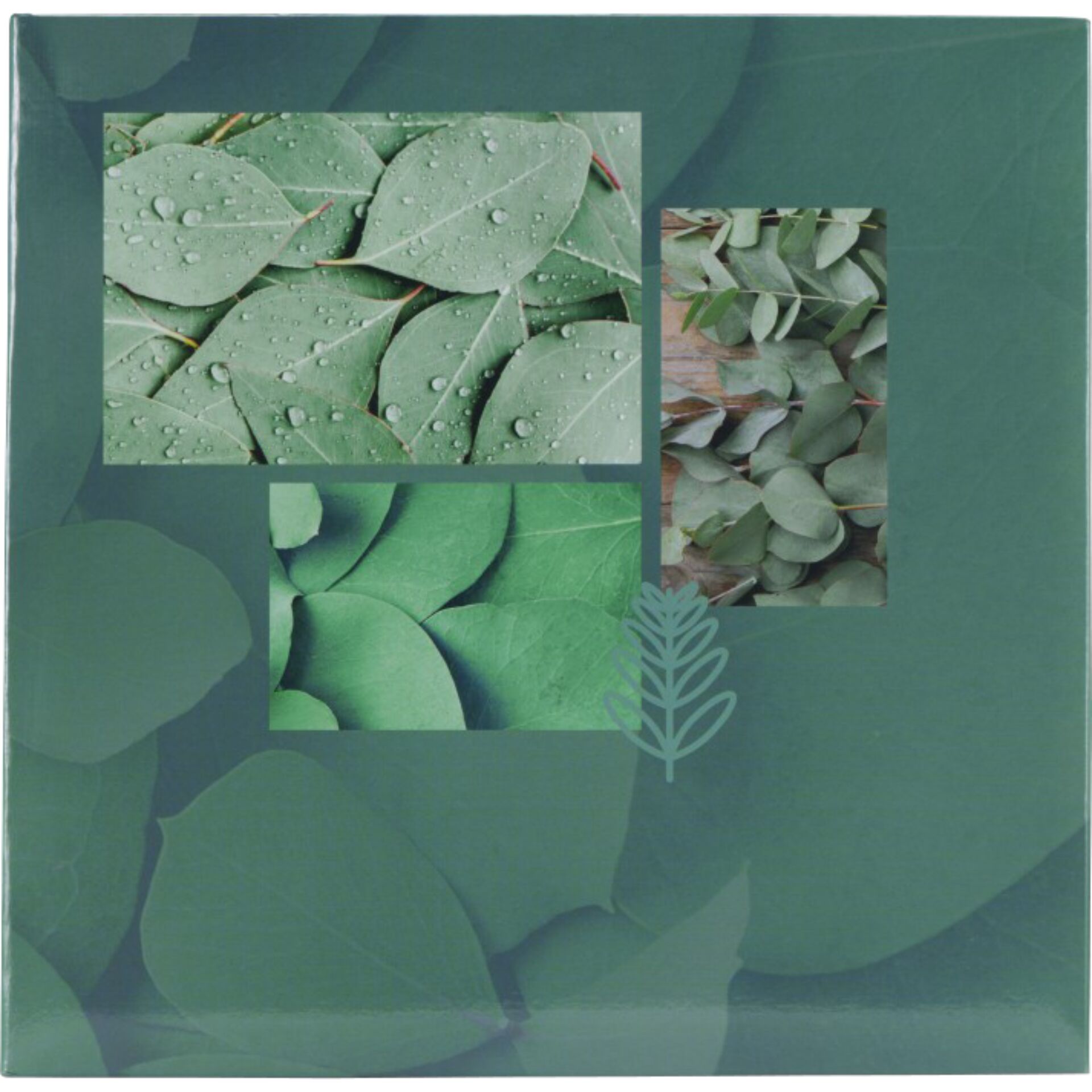 Leaf, Plant, Art, Collage, Herbal