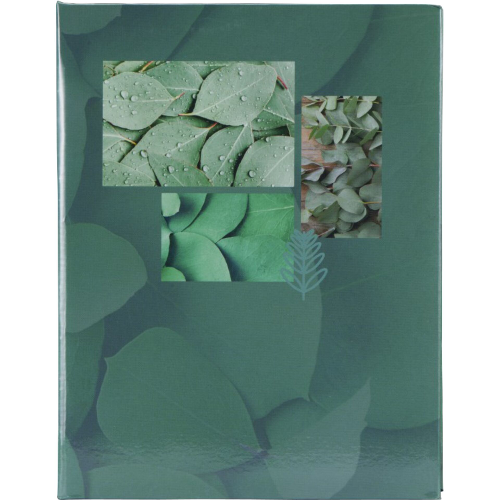 Leaf, Plant, Herbal, Collage, Paper