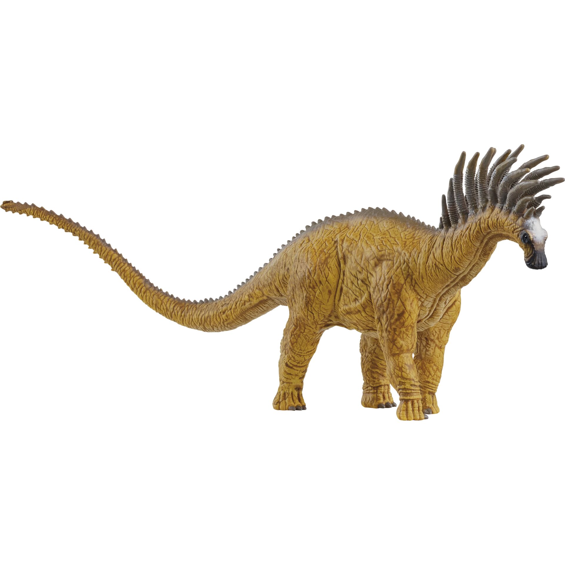 Animal, Dinosaur, Reptile