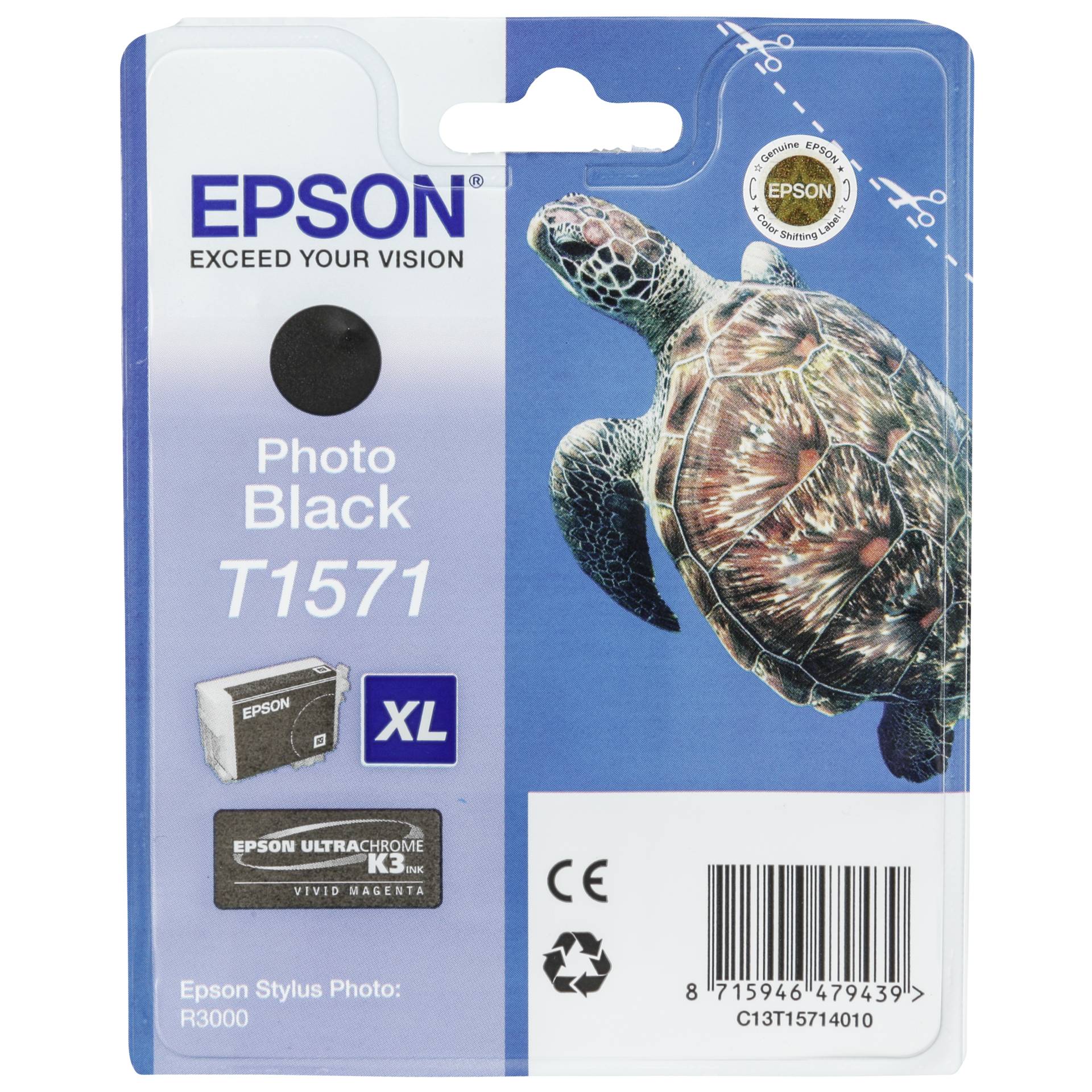 Animal, Reptile, Sea Life, Turtle