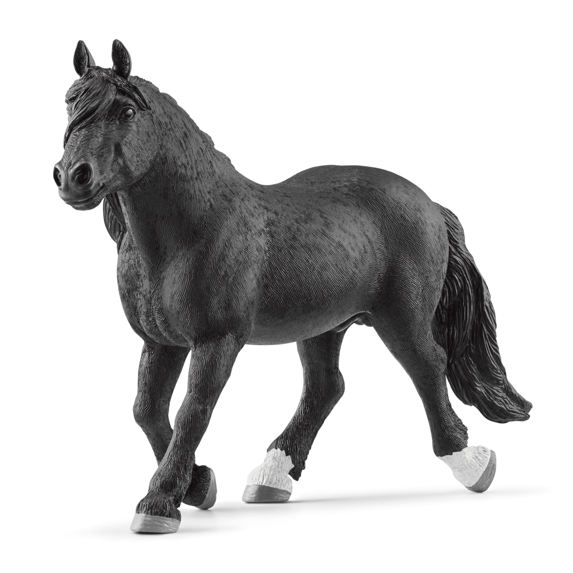Andalusian Horse, Animal, Horse, Mammal