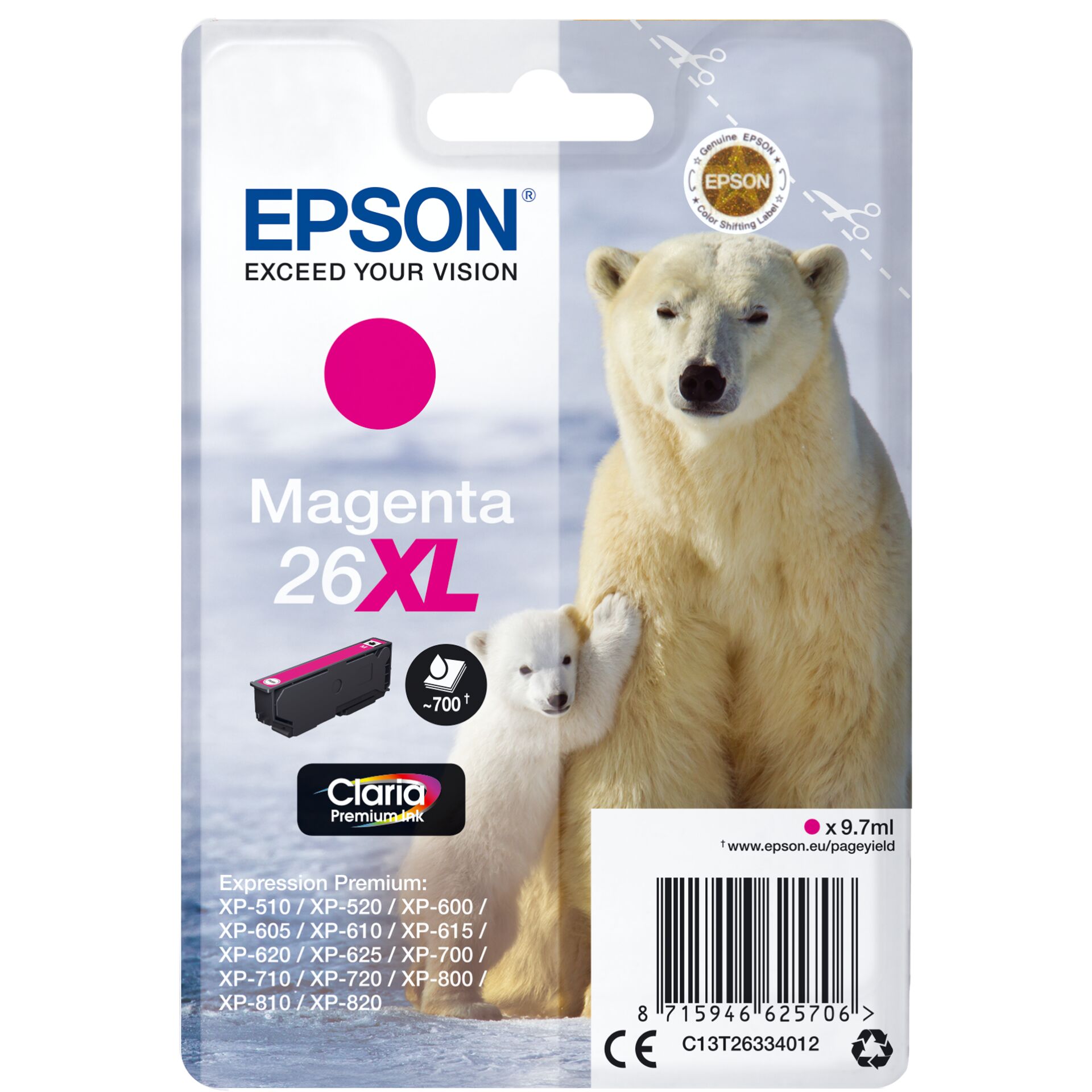 Animal, Bear, Mammal, Wildlife