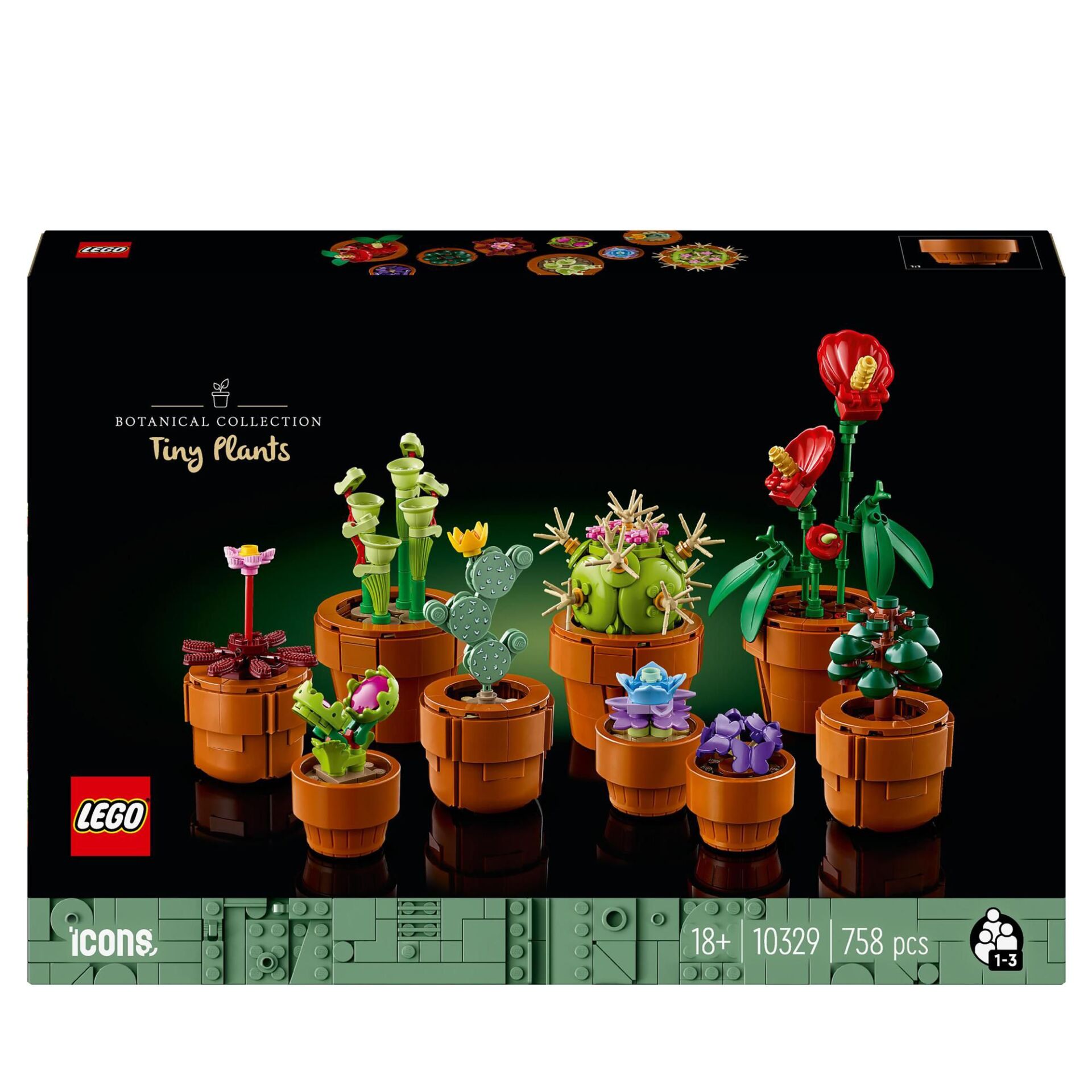 Plant, Potted Plant, Flower, Flower Arrangement, Pot