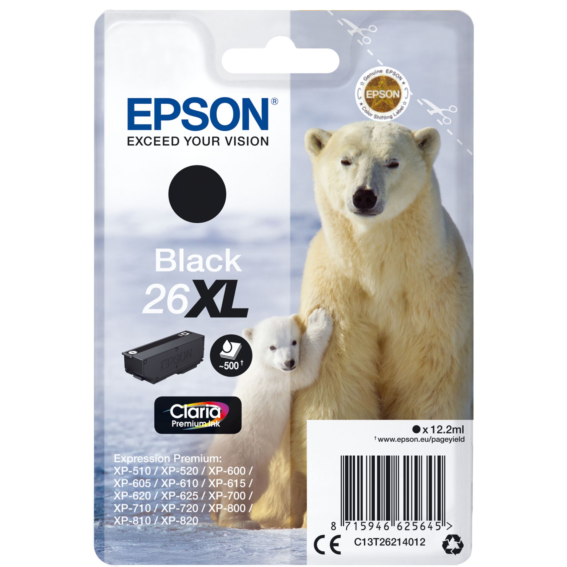 Animal, Bear, Mammal, Wildlife, Polar Bear