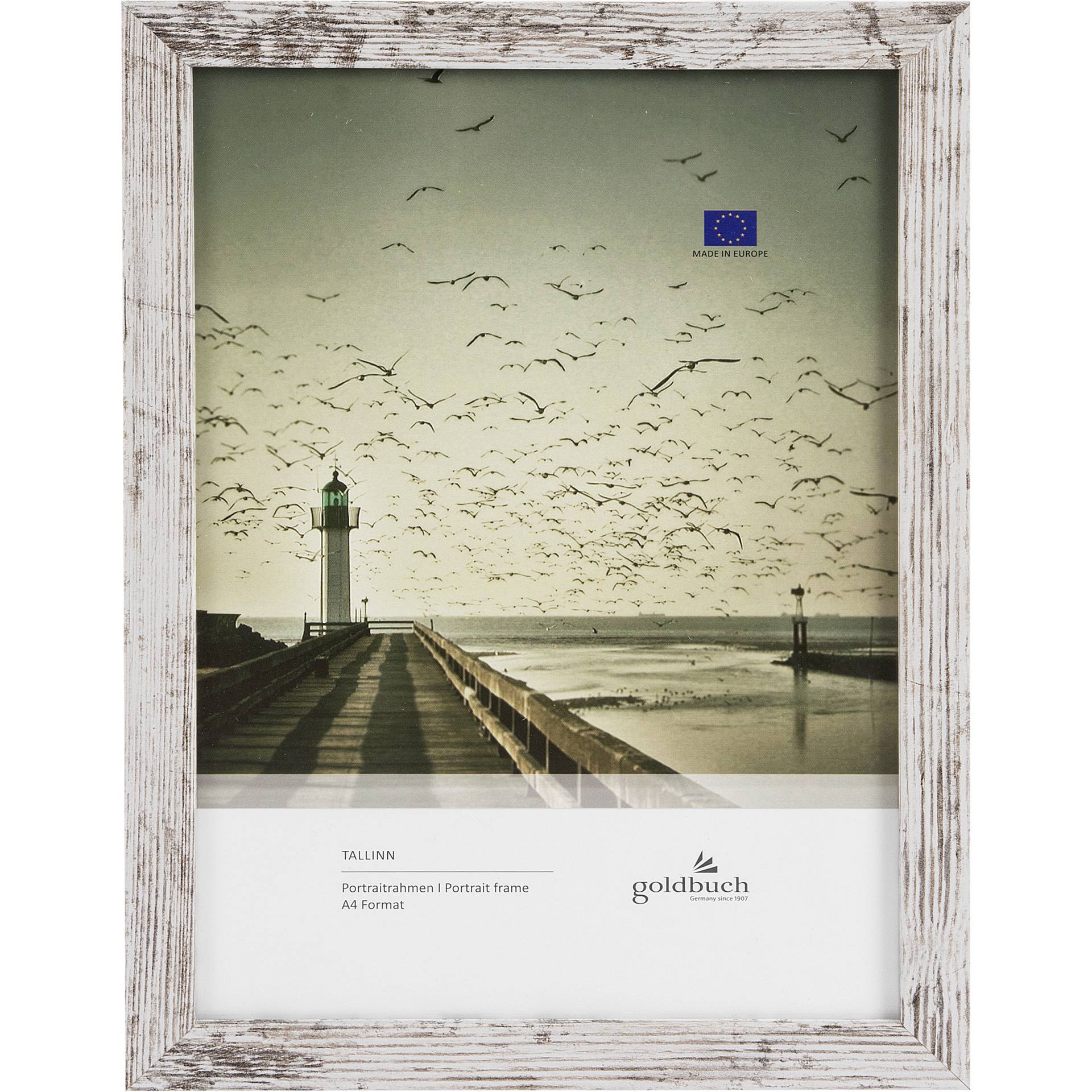Water, Waterfront, Animal, Bird