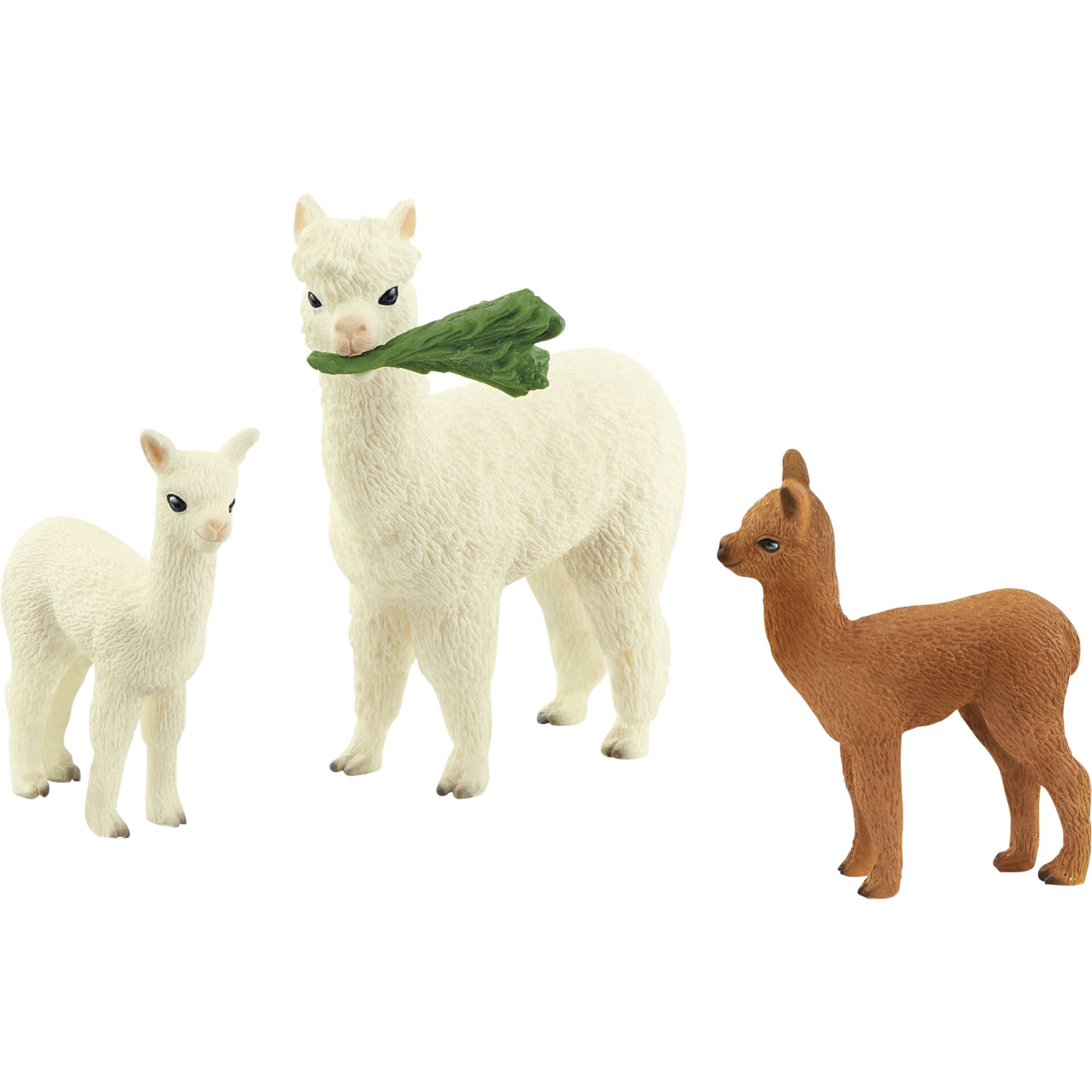 Animal, Mammal