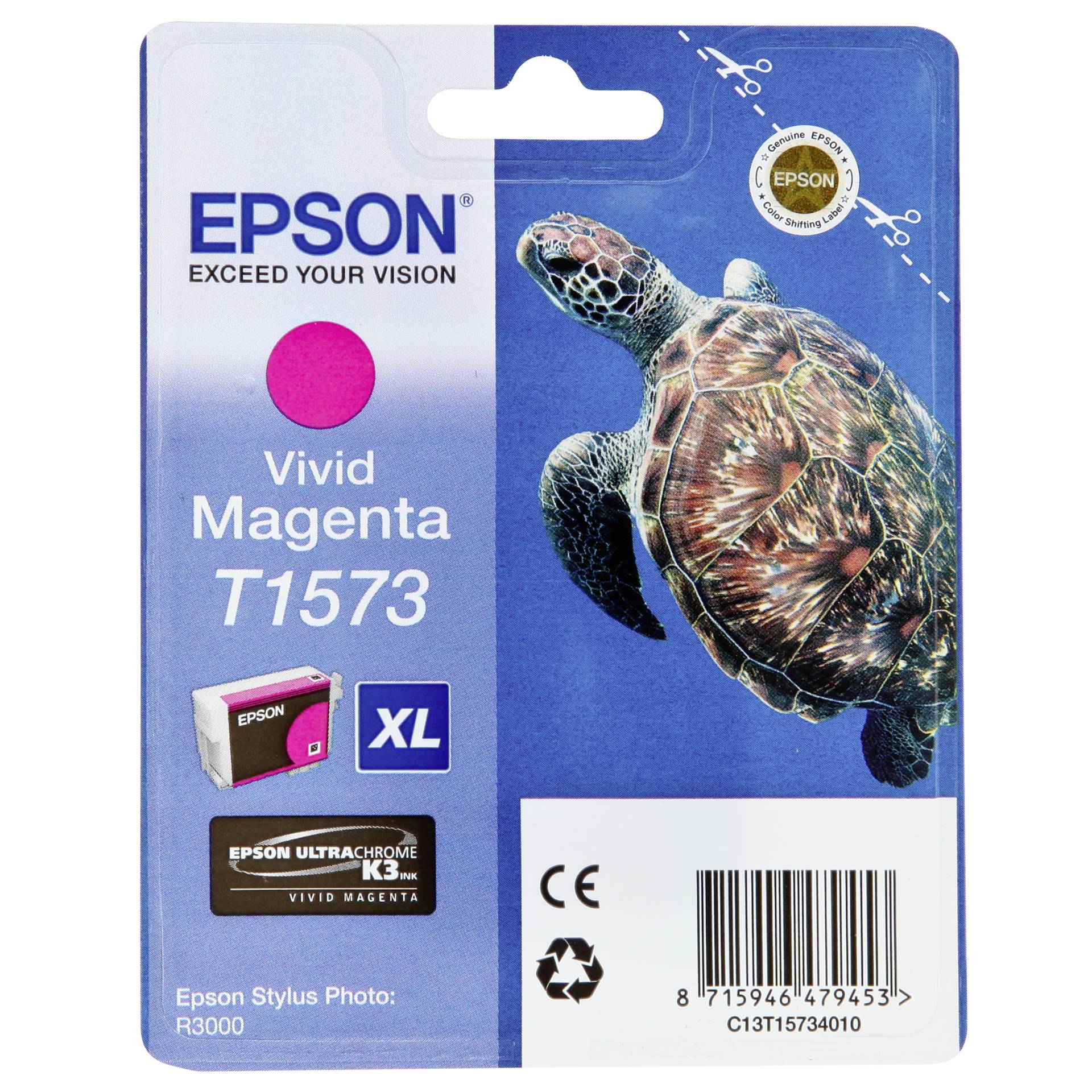 Animal, Reptile, Sea Life, Turtle