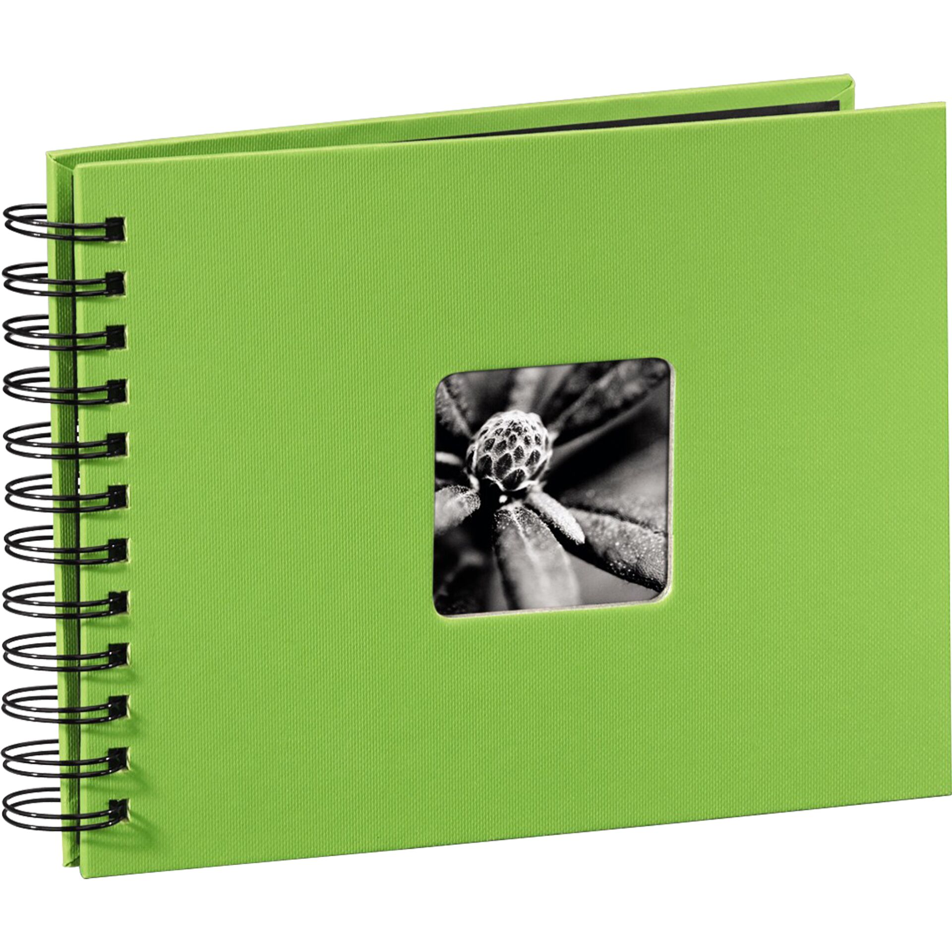 Diary, Spiral