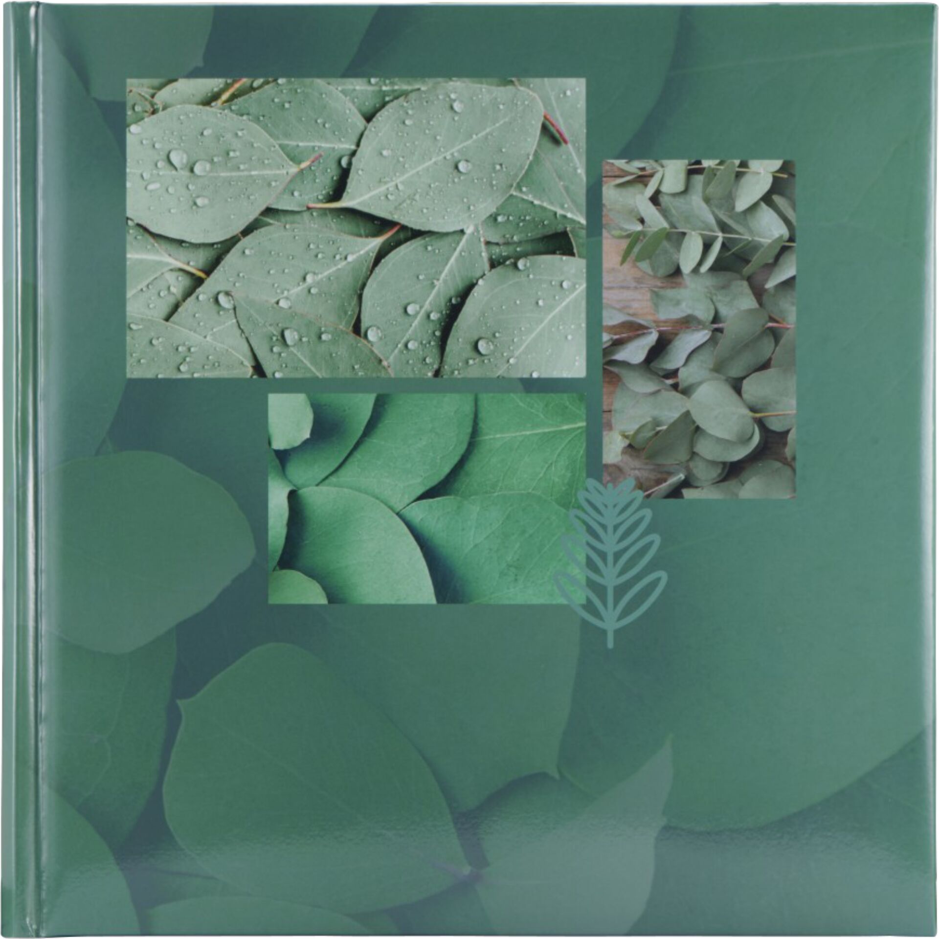 Leaf, Plant, Collage, Herbal, Paper