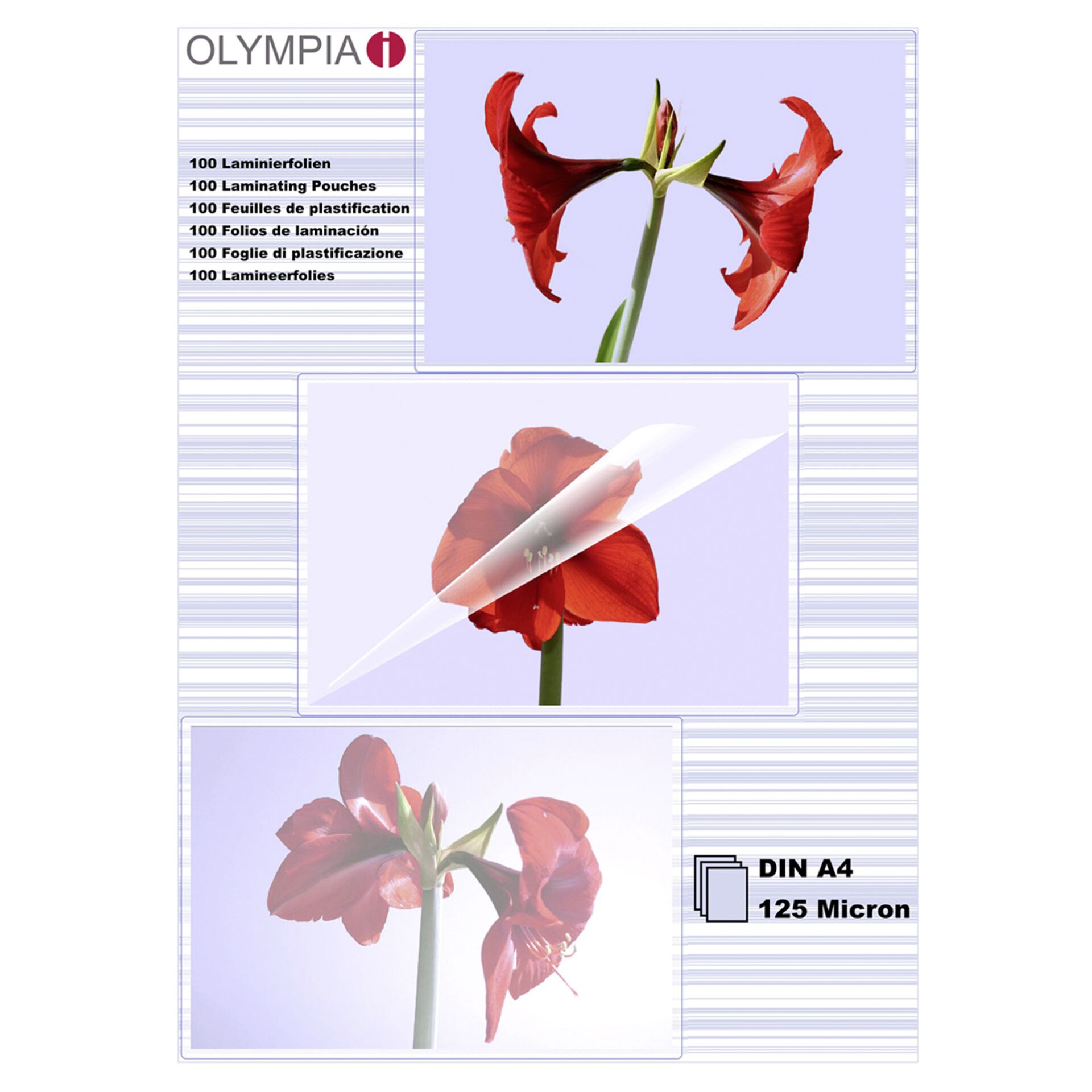 1x100 Olympia folie do  laminowania A4 125 micron   9176