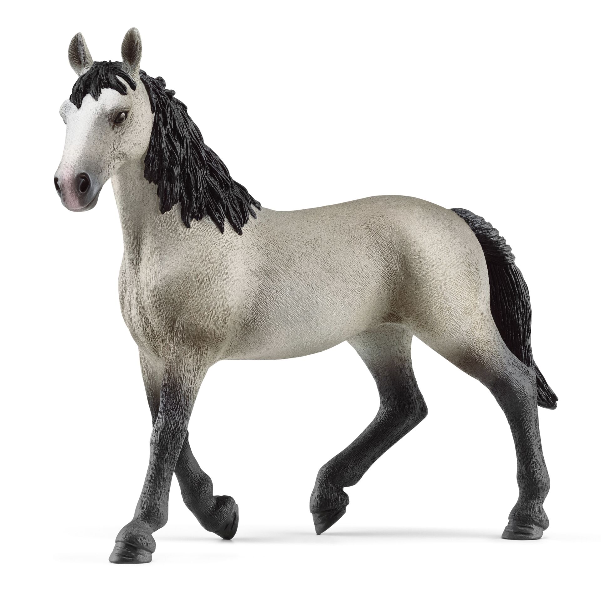 Animal, Horse, Mammal