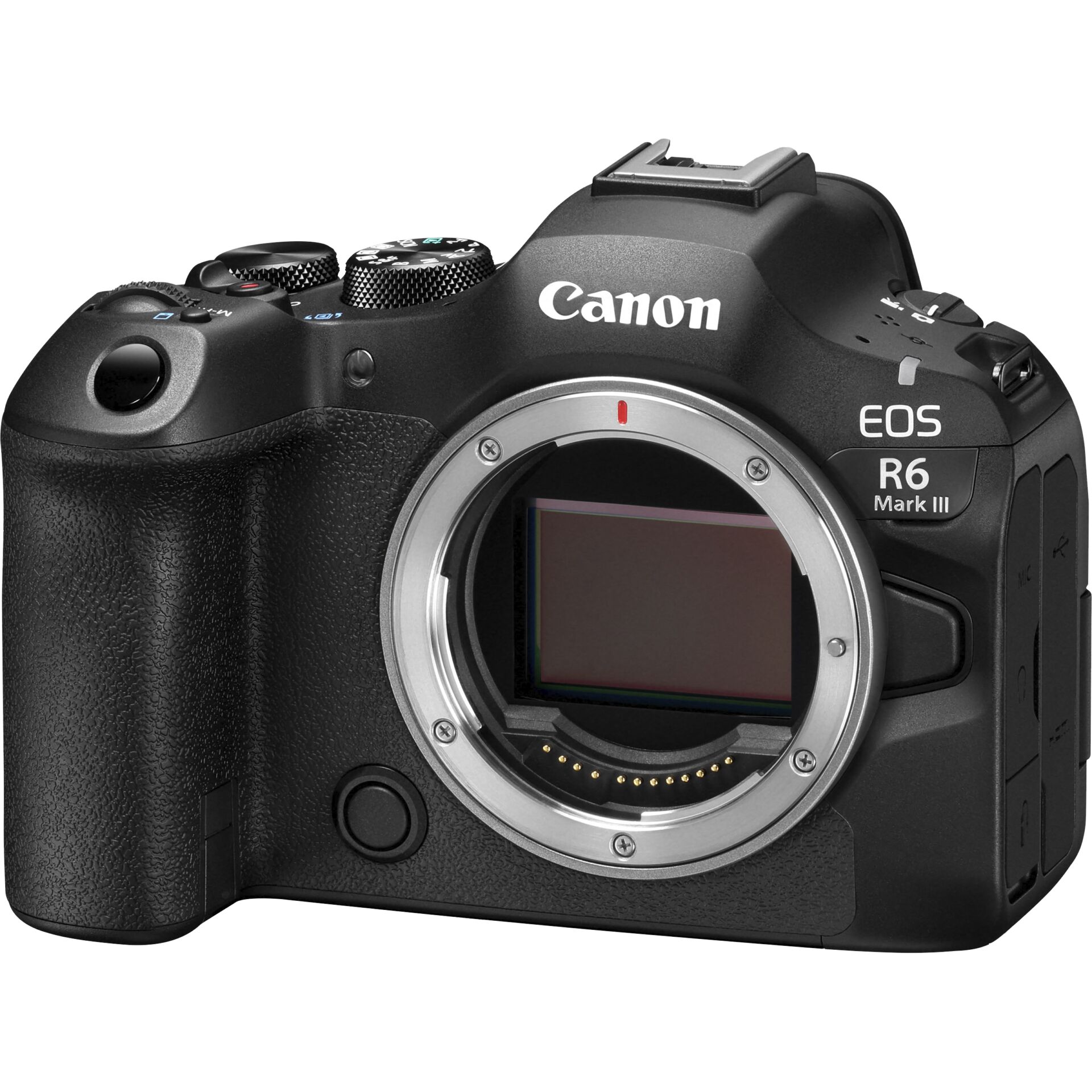 DSLR, Canon, EOS R6 Mark III, Kamerakörper, lenspause
