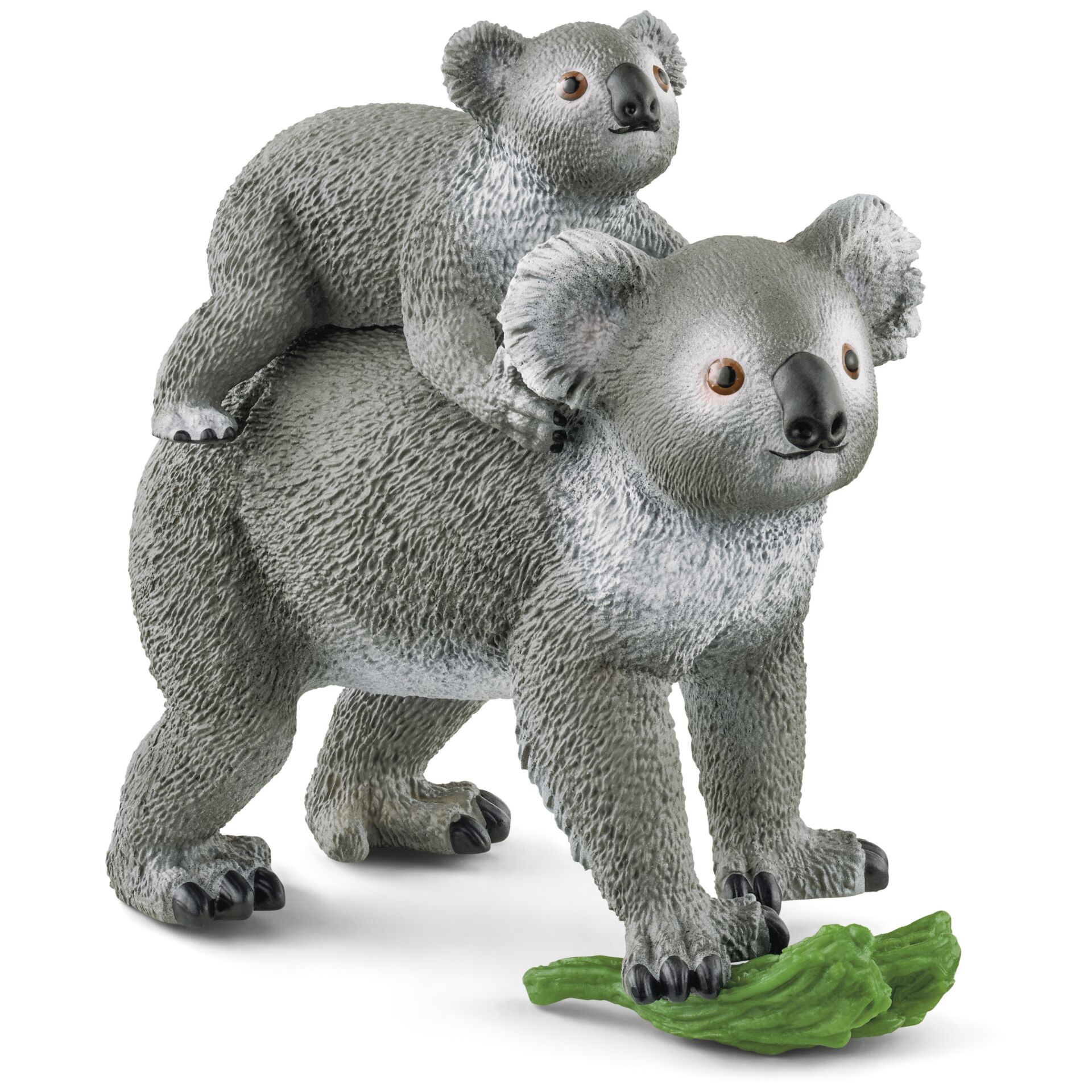Animal, Bear, Mammal, Wildlife